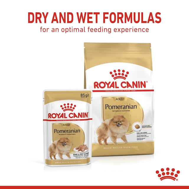 Royal Canin Dog Pomeranian Adult Wet Food Pouch 85g x 12 - Image 8