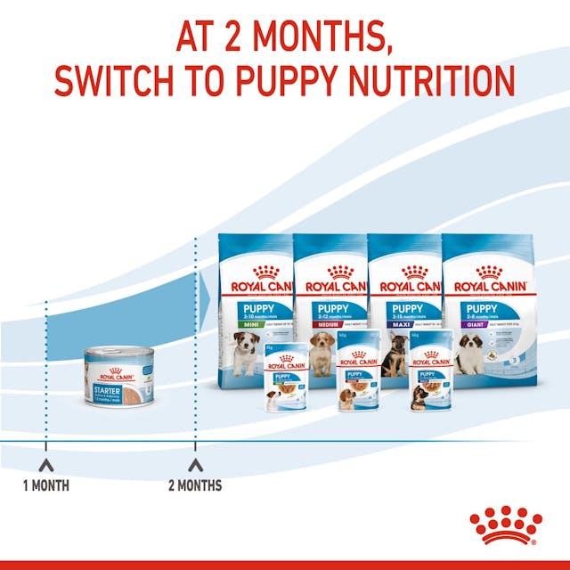 Royal Canin Mother and Babydog Puppy Mousse Wet Food 195g x 12 - Image 3