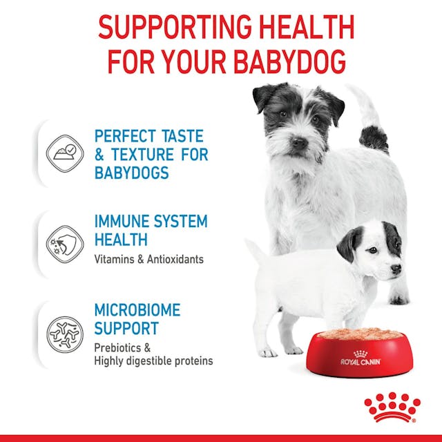 Royal Canin Mother and Babydog Puppy Mousse Wet Food 195g x 12 - Image 5