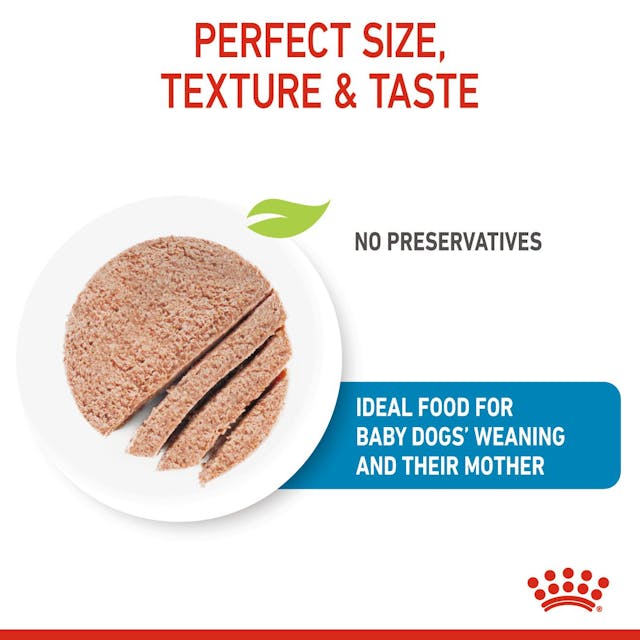 Royal Canin Mother and Babydog Puppy Mousse Wet Food 195g x 12 - Image 6