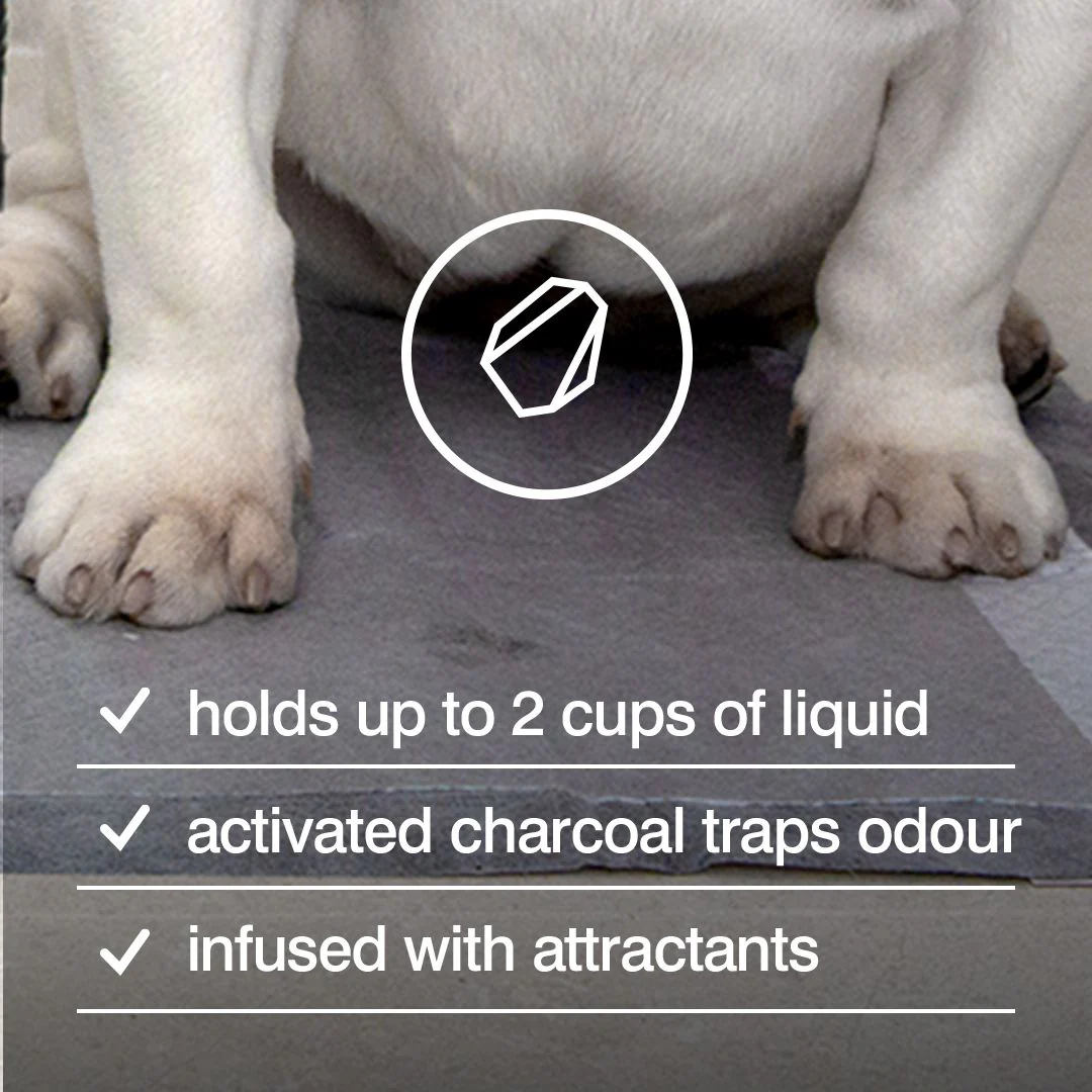 Rufus & Coco Posh Pee Pads 7 Pack - Image 4