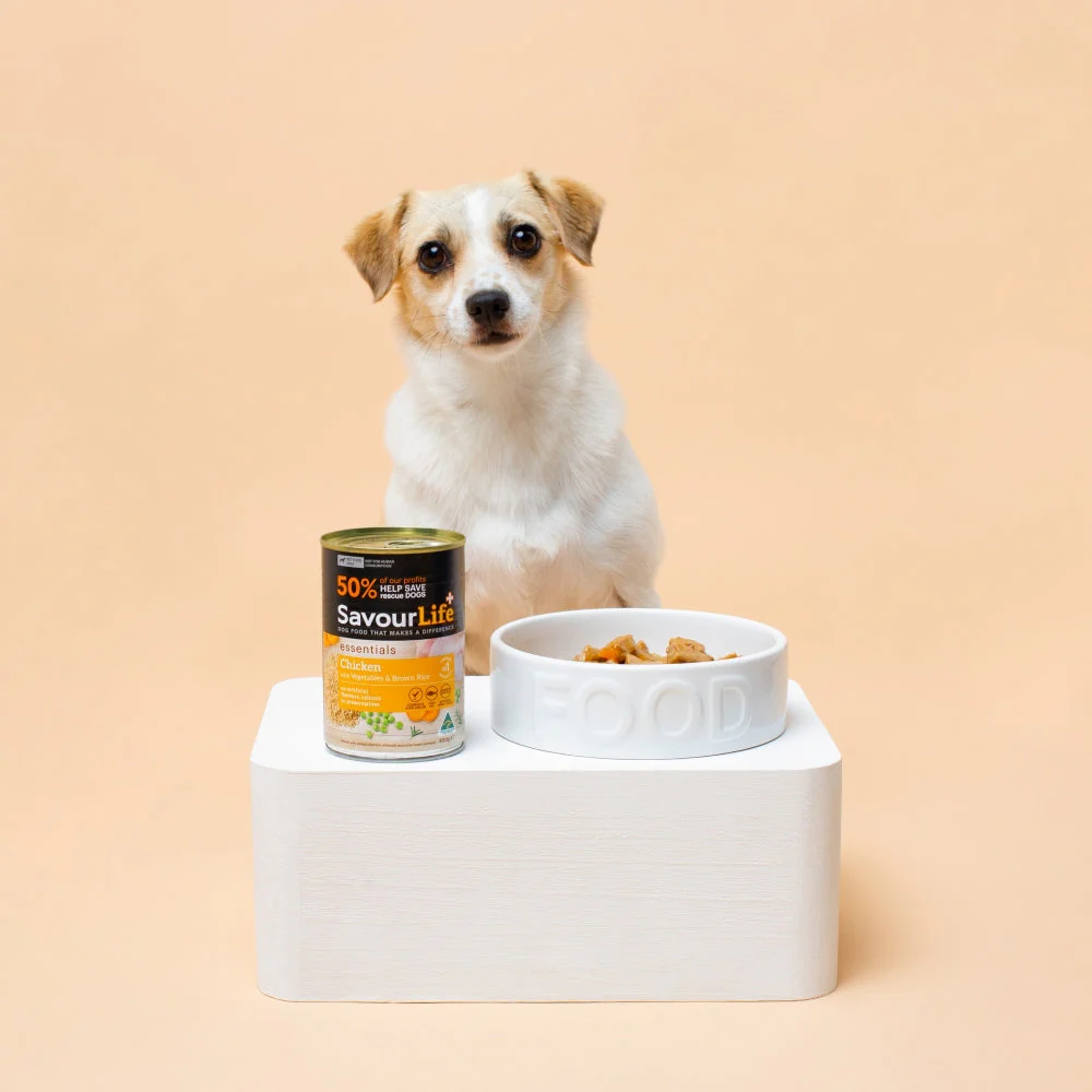SavourLife Essentials Chicken with Vegetables & Rice Adult Dog Wet Food 400g X12 - Image 4