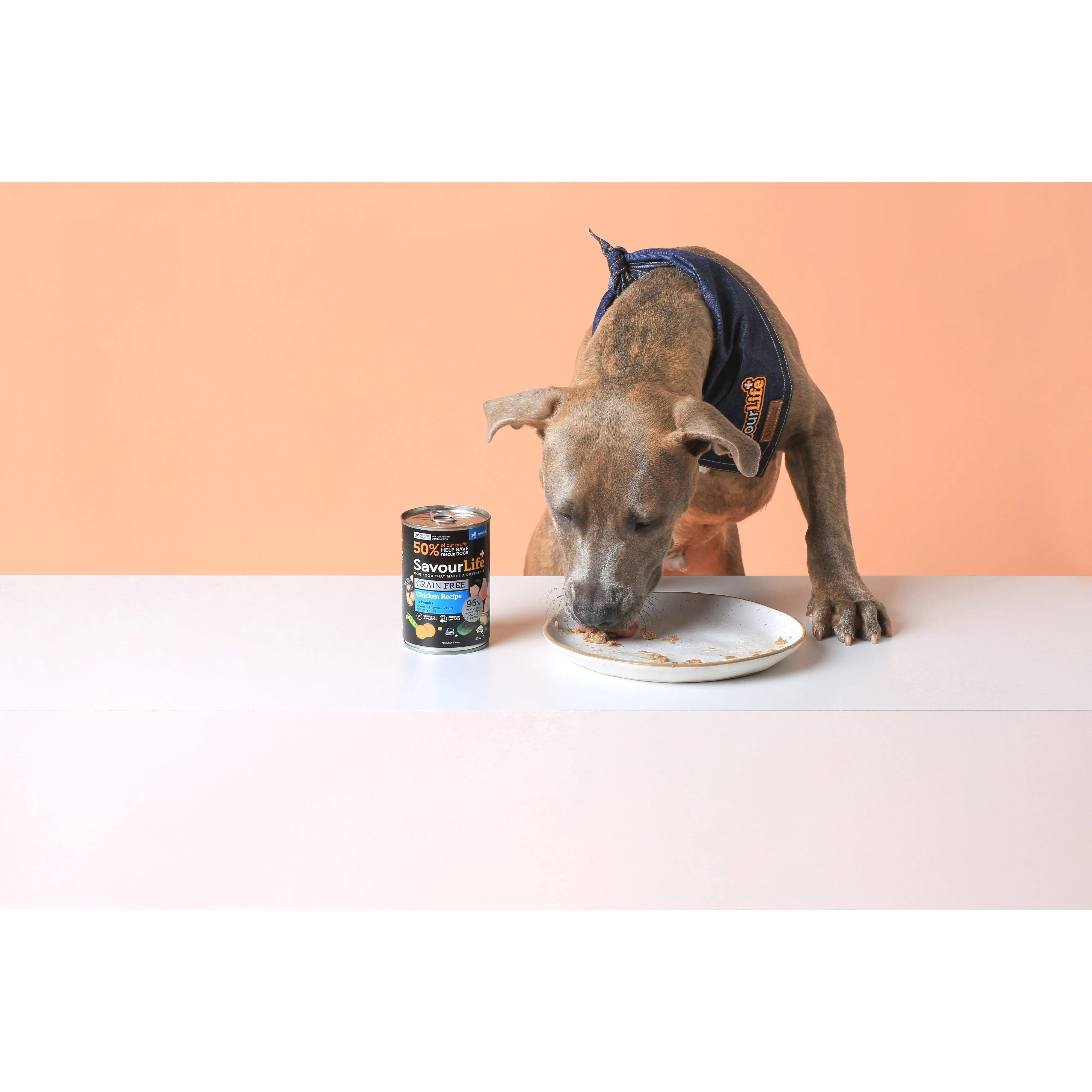 Savourlife Grain Free Chicken Puppy Wet Food 375g - Image 5