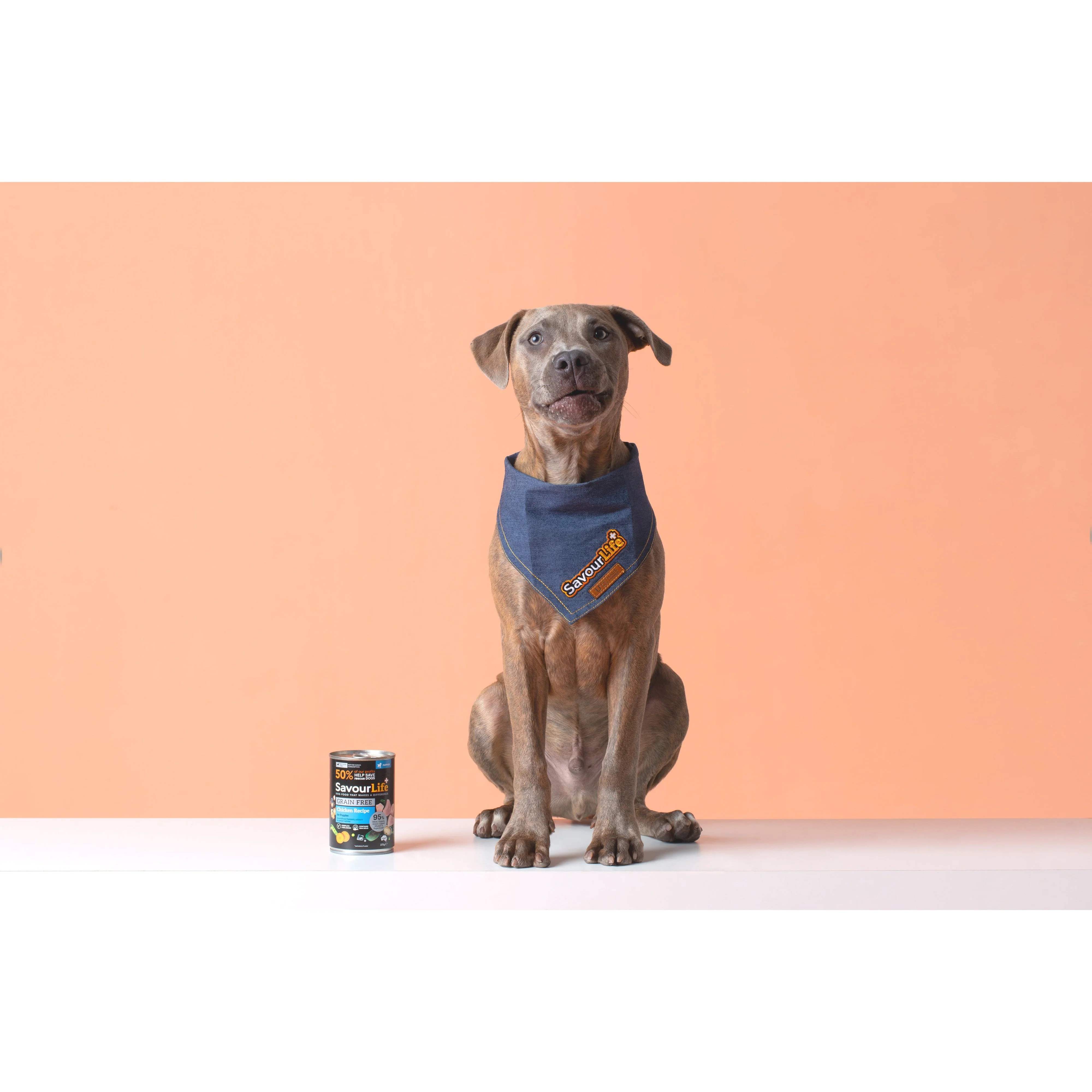 Savourlife Grain Free Chicken Puppy Wet Food 375g - Image 7