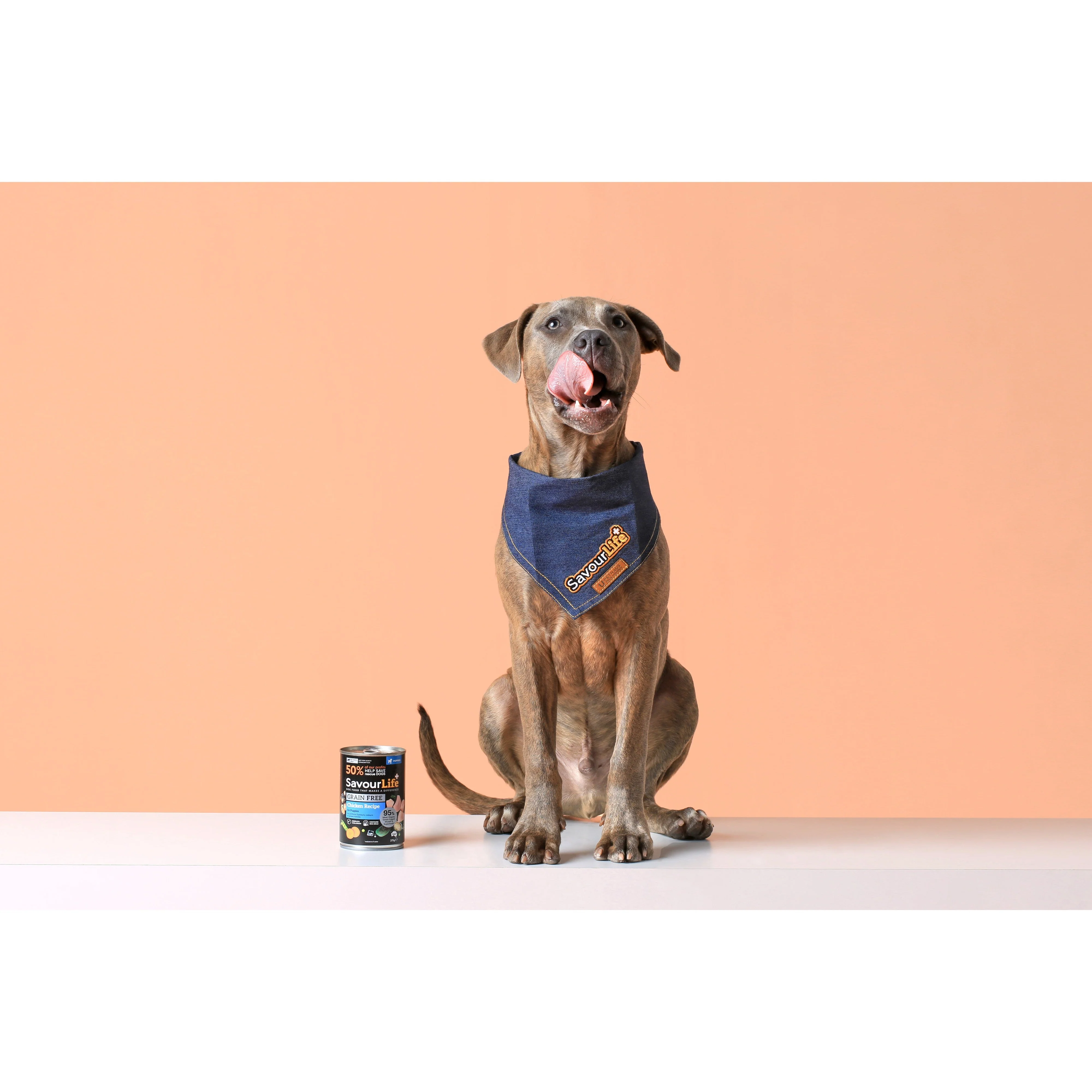Savourlife Grain Free Chicken Puppy Wet Food 375g X12 - Image 6