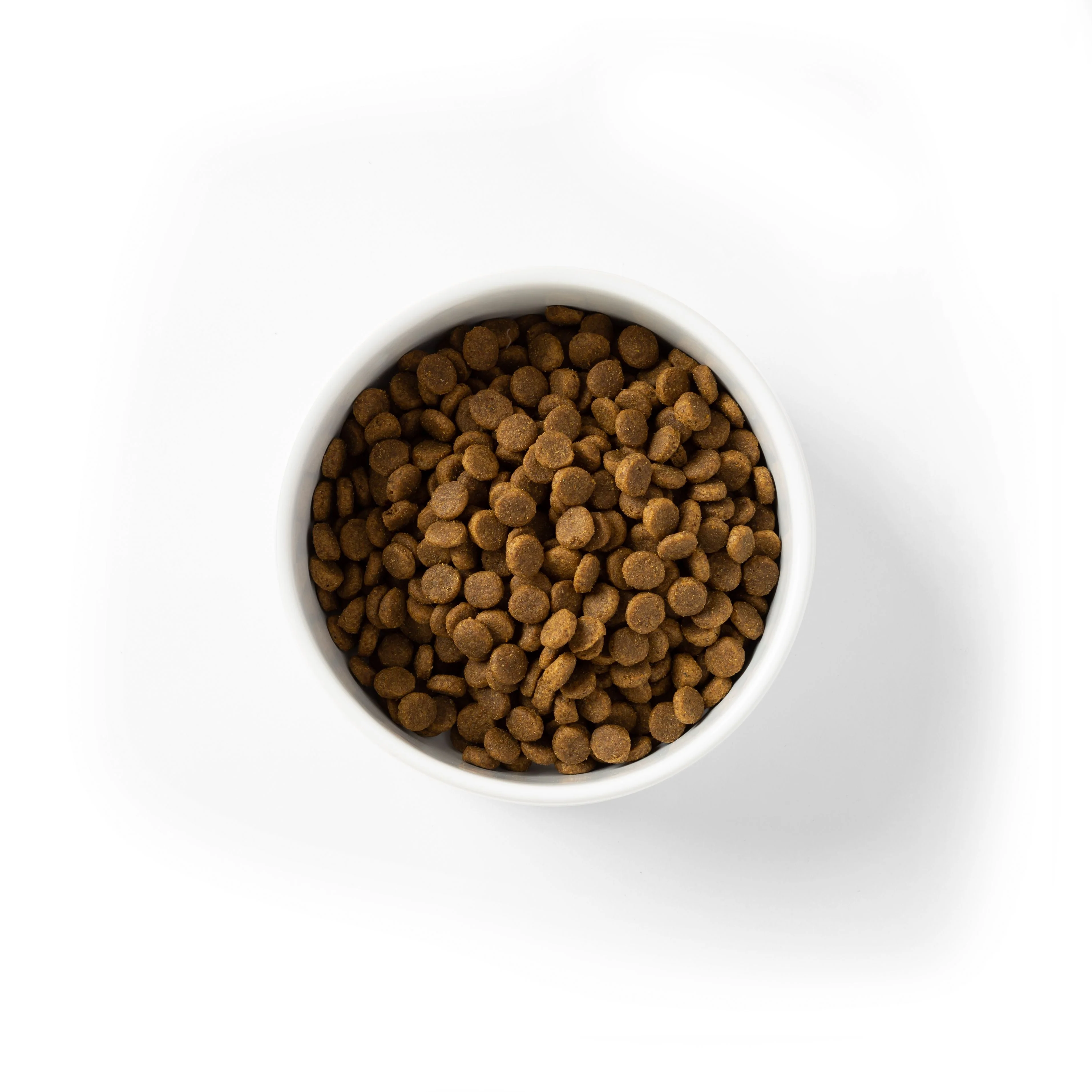 SavourLife Grain Free Dry Dog Food Chicken for Puppies 2.5kg - Image 2