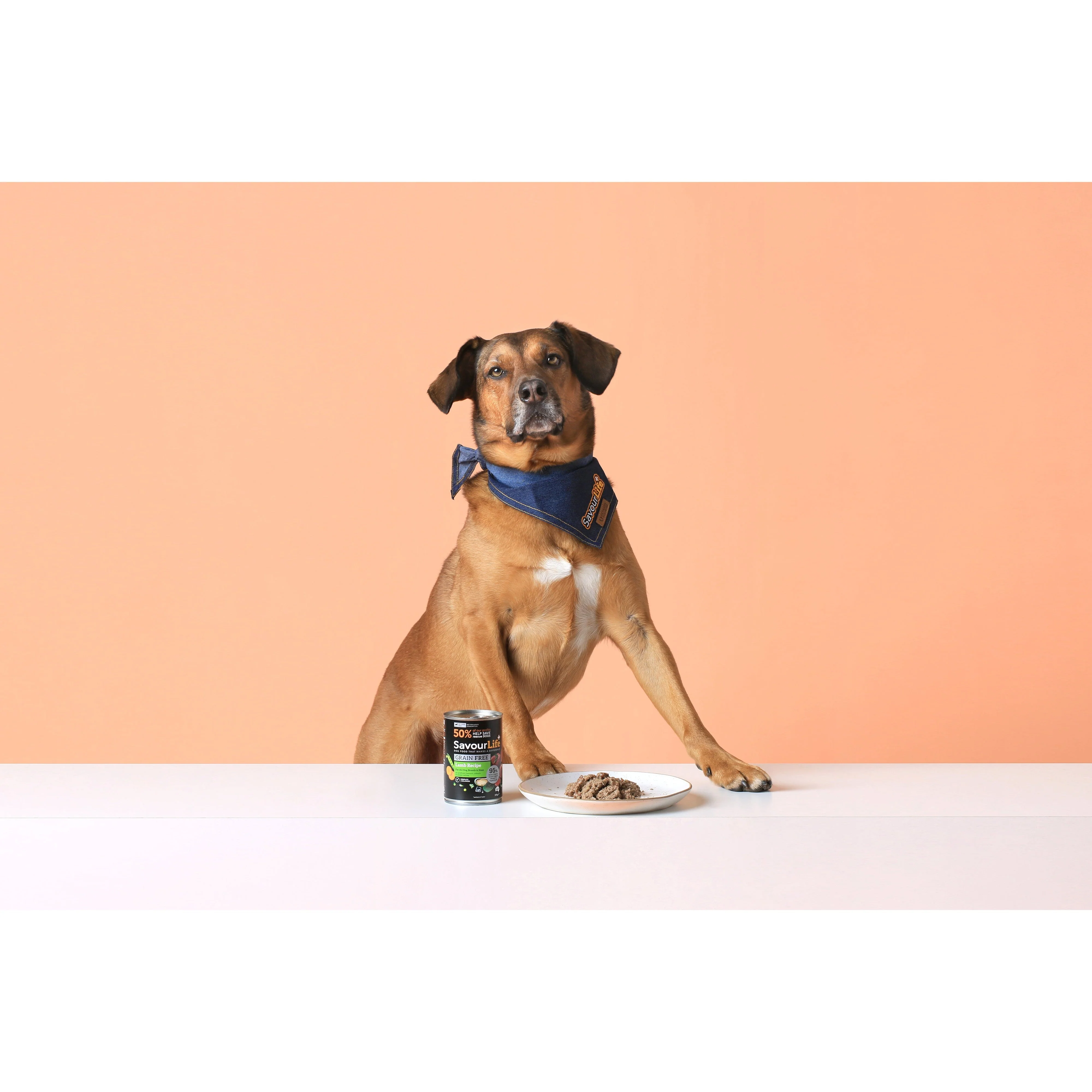 SavourLife Grain Free Lamb Adult Dog Wet Food 375g - Image 5