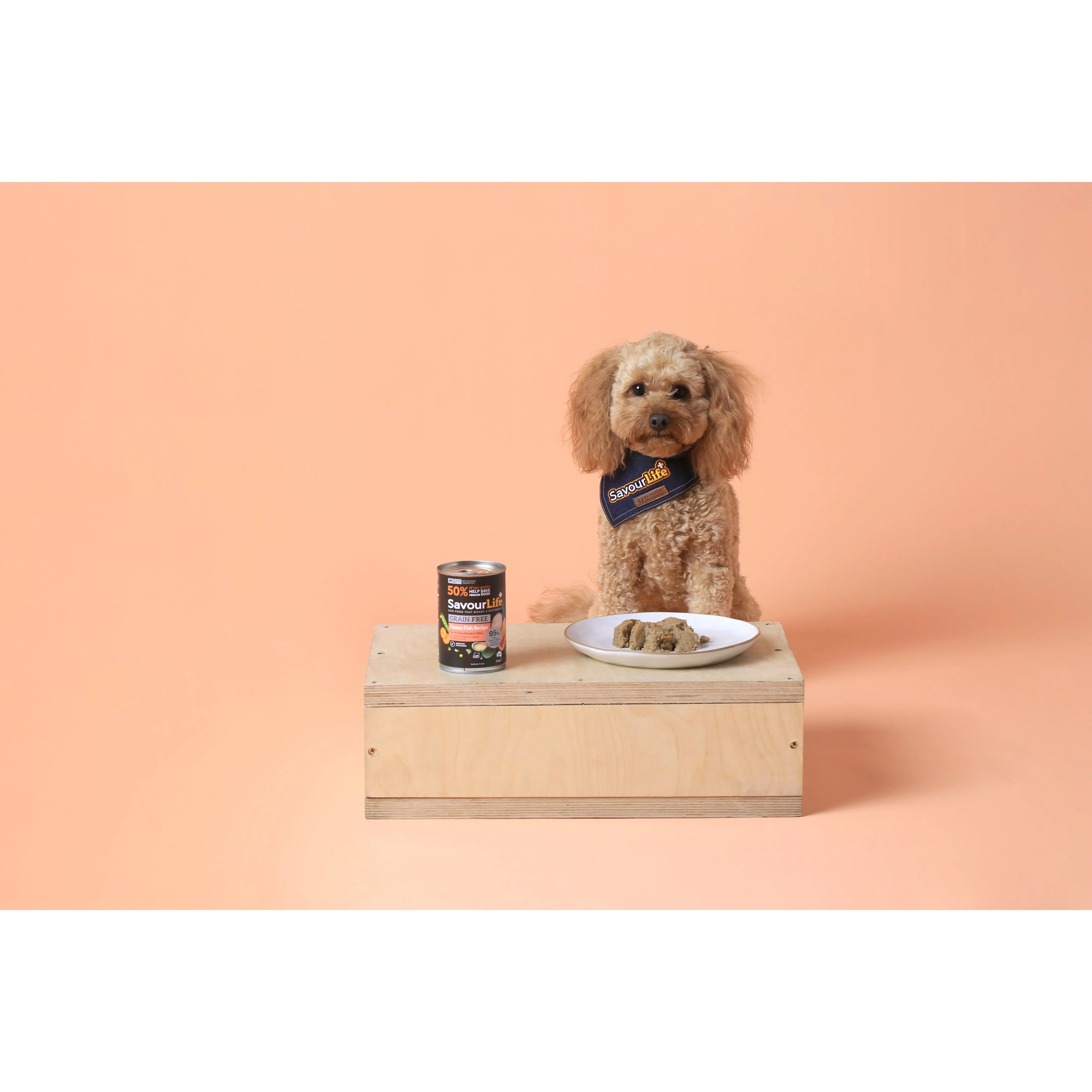 Savourlife Grain Free Ocean Fish Adult Dog Wet Food 375g X12 - Image 6