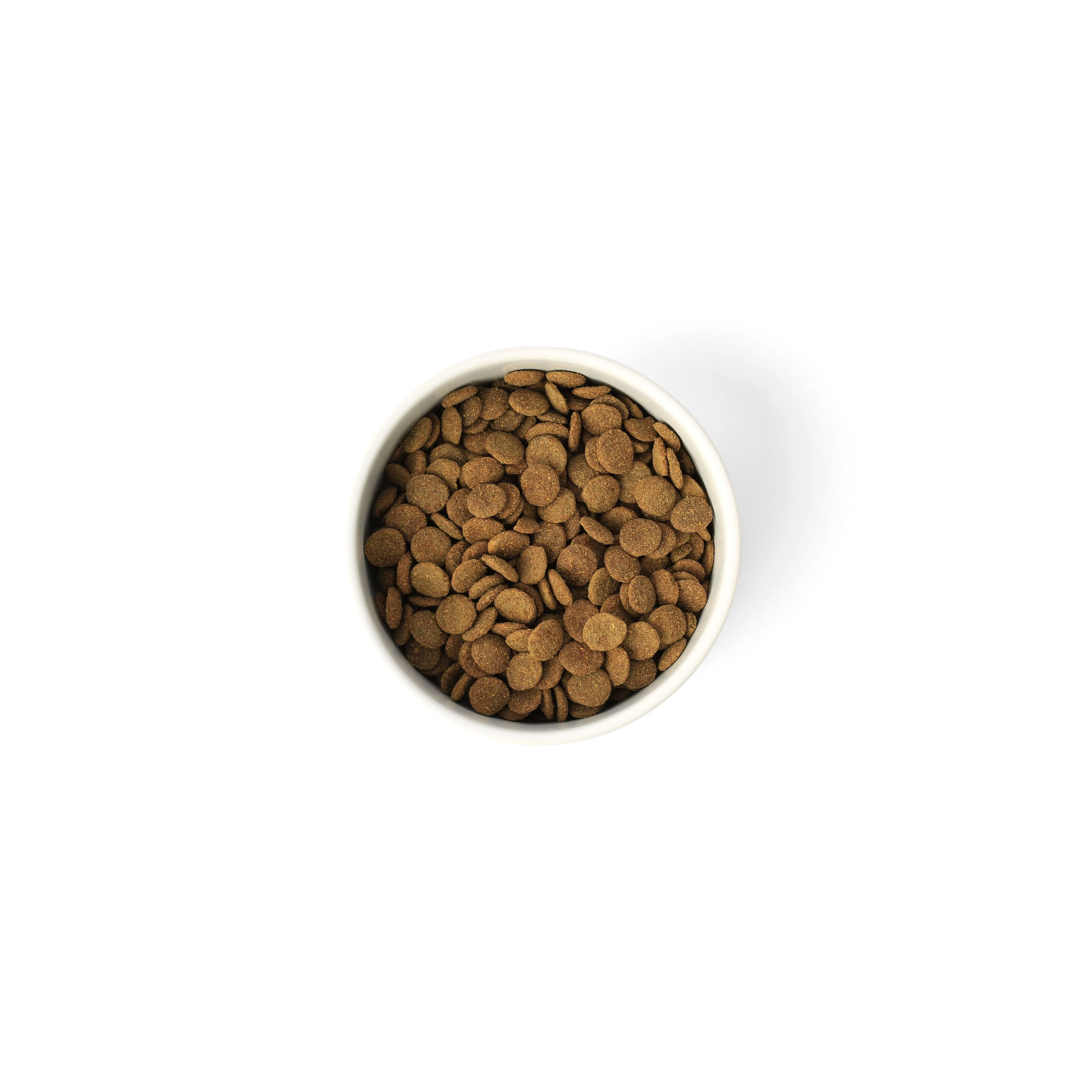 SavourLife Grain Free Dry Dog Food Lean Turkey 2.5kg - Image 2