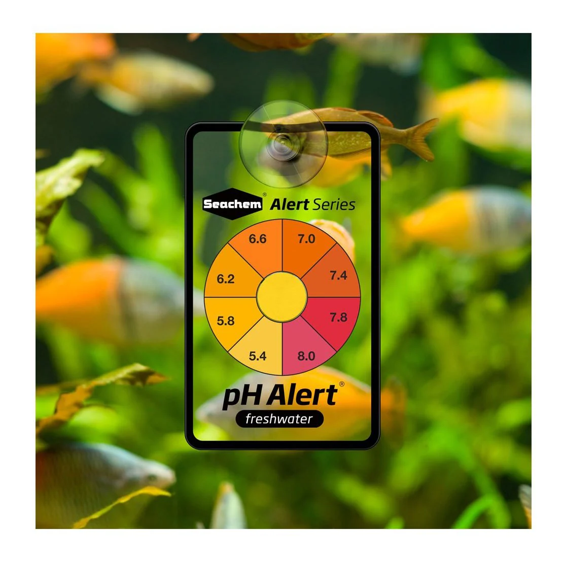 Seachem pH Alert - Image 2