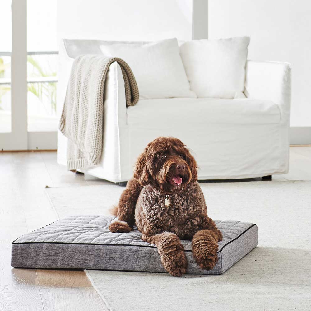 Snooza Odour Control Dream Mat Soho Dog Bed Extra Large - Image 3