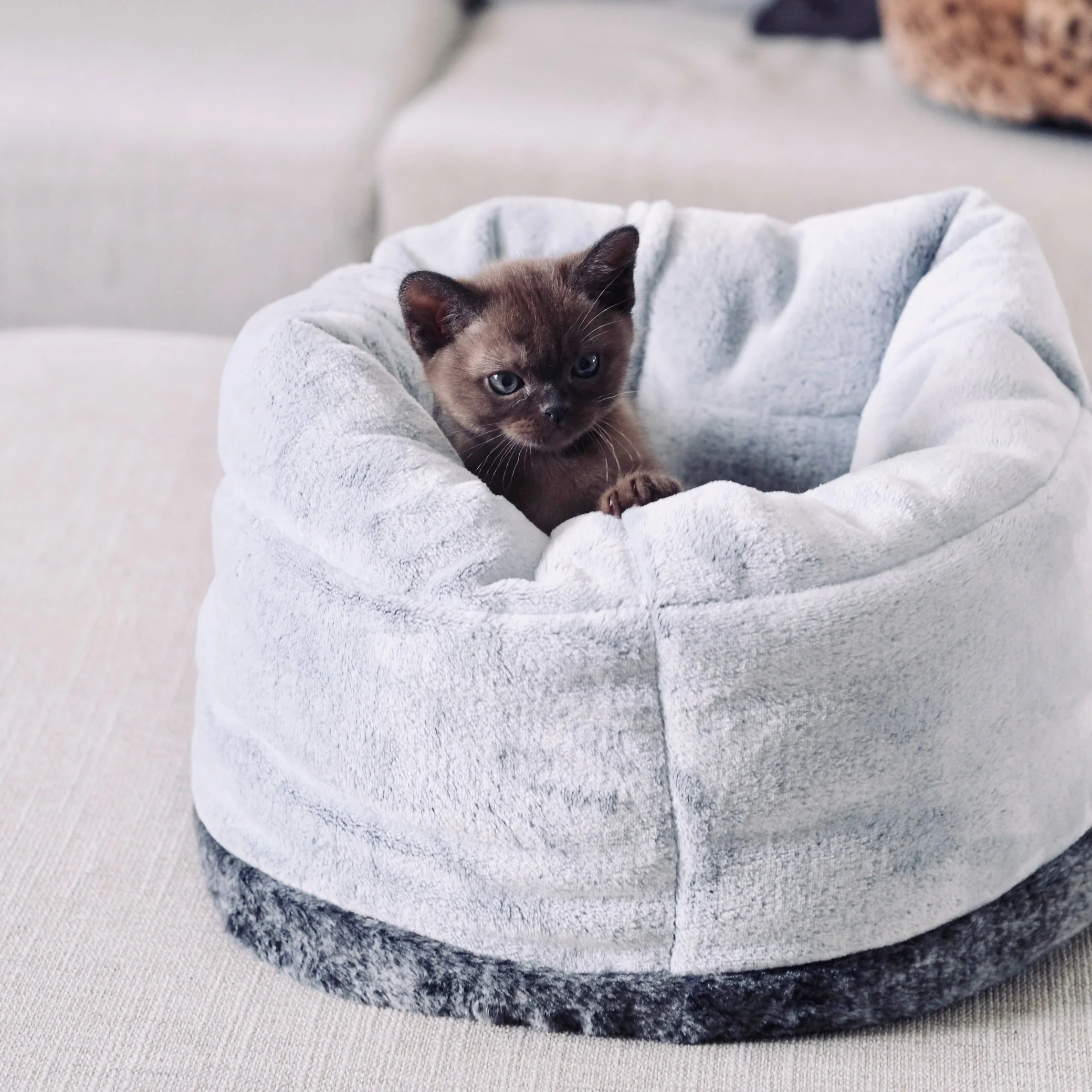 Snooza The Cat Bed Chinchilla - Image 7
