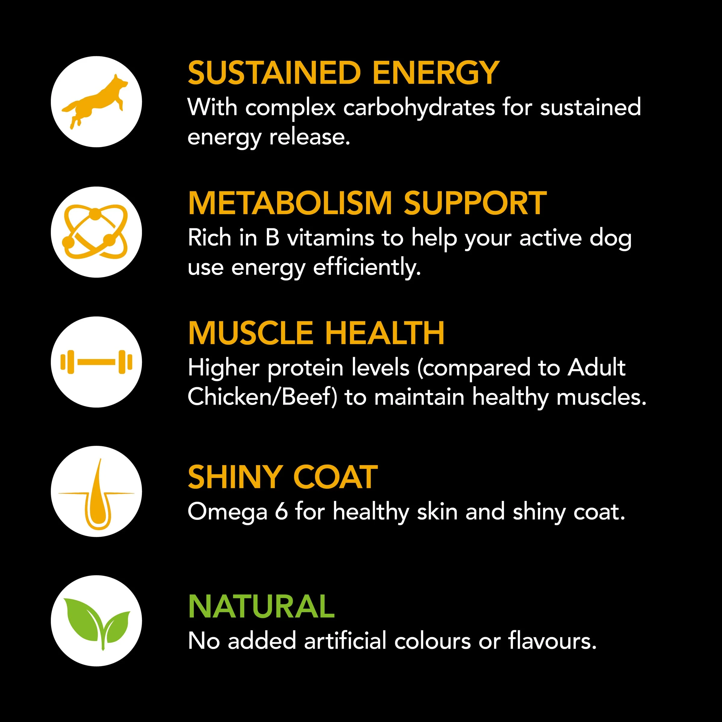 Supercoat Beef Active Adult Dry Dog Food 18kg - Image 4