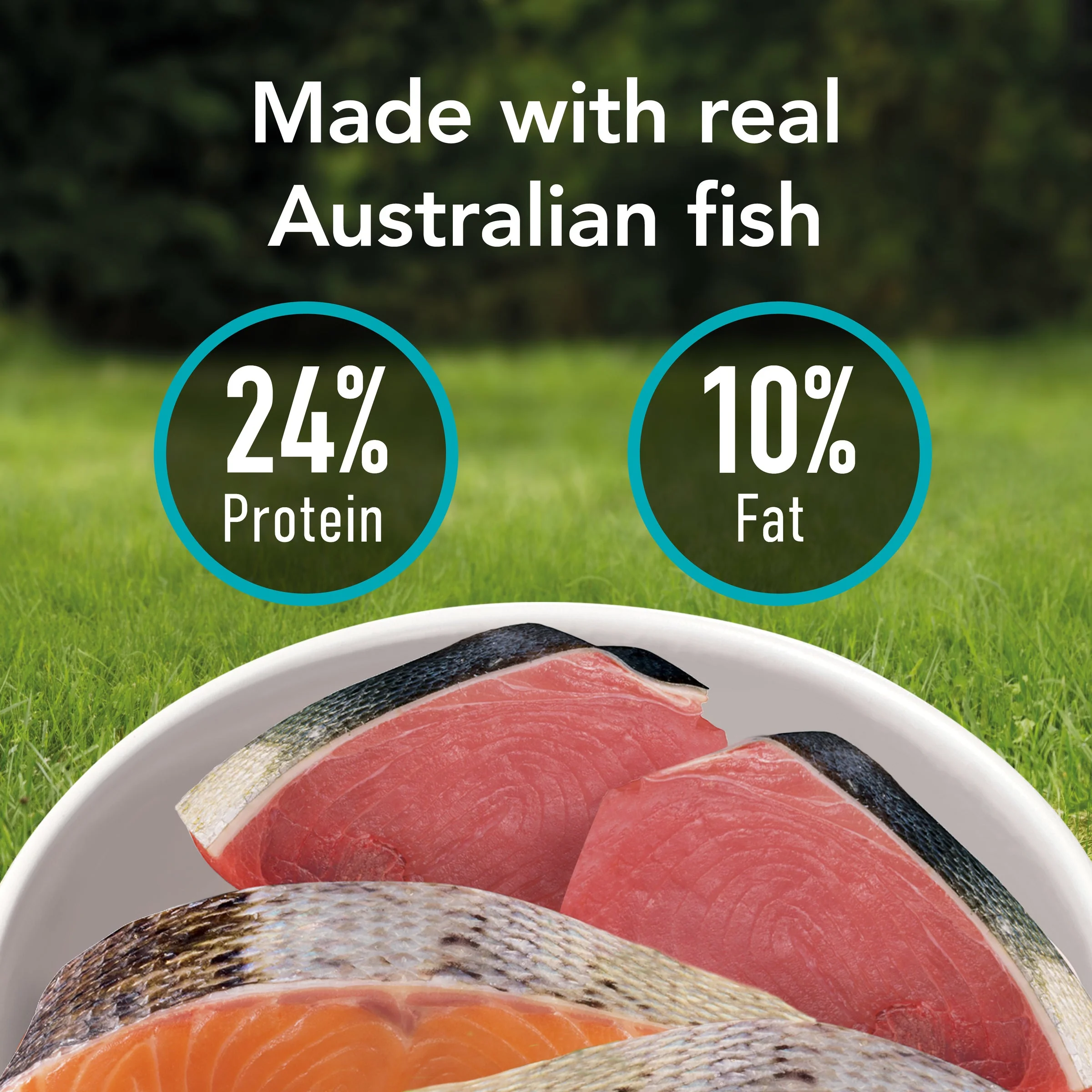 Supercoat Fish Sensitive Skin and Stomach Adult Dry Dog Food 15kg - Image 3