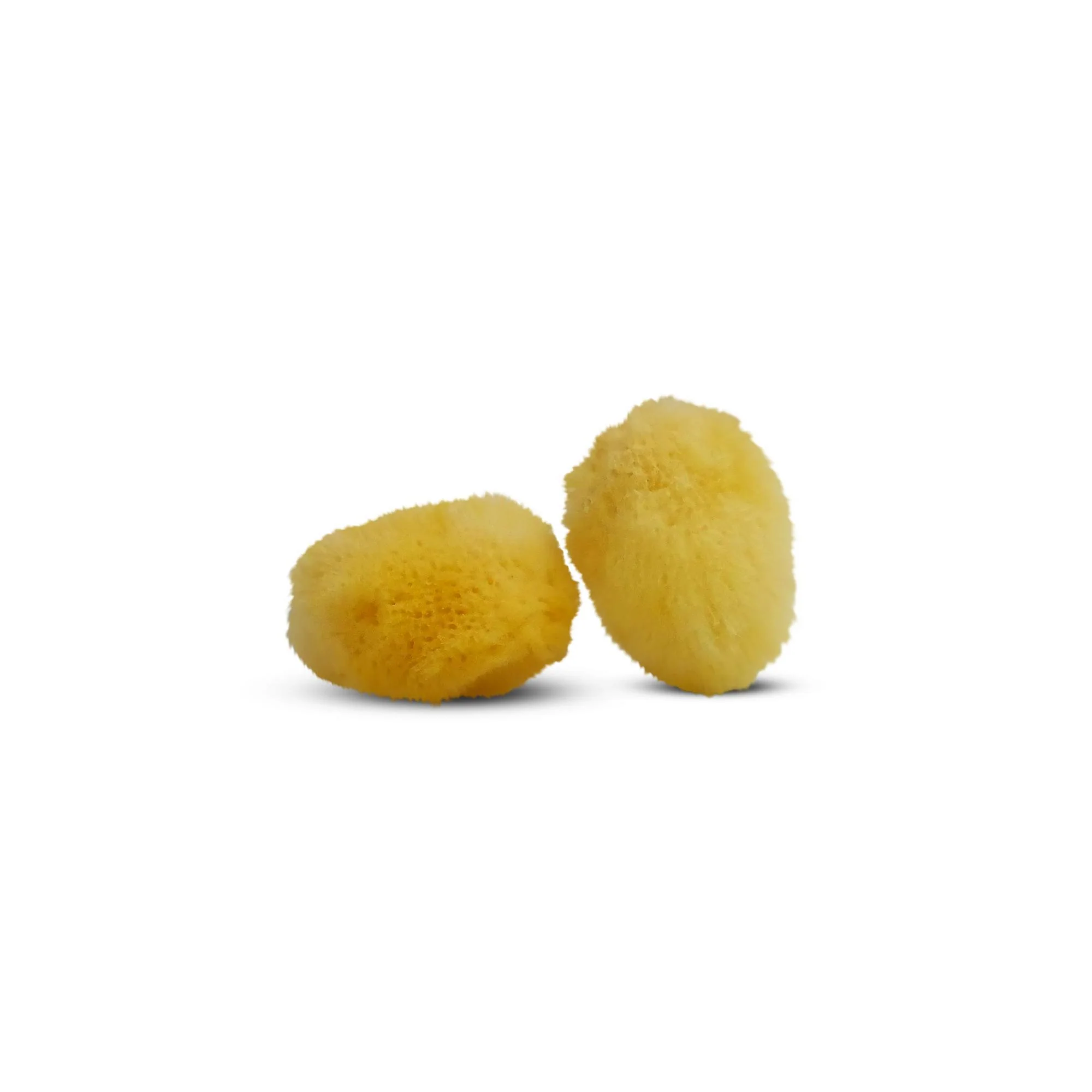 The Krabooz Soggy Sponge - Image 4