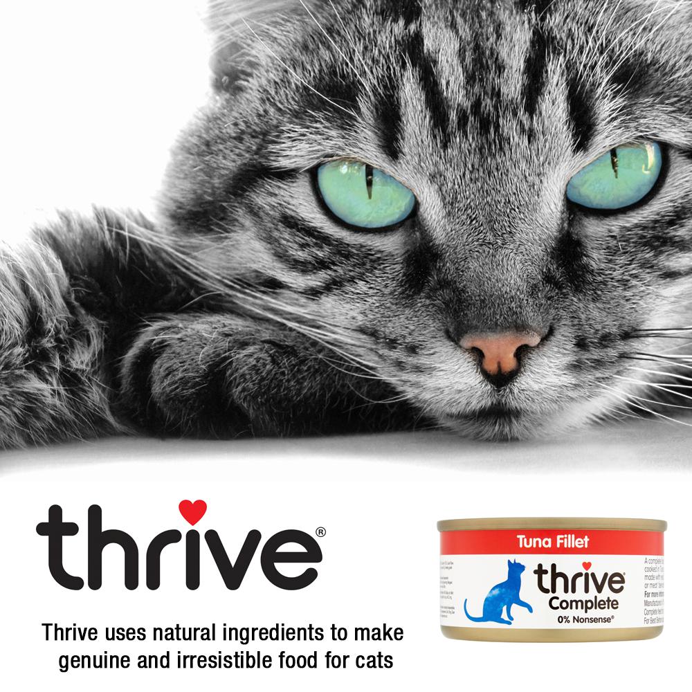 Thrive Tuna Fillet Wet Cat Food 75g - Image 6