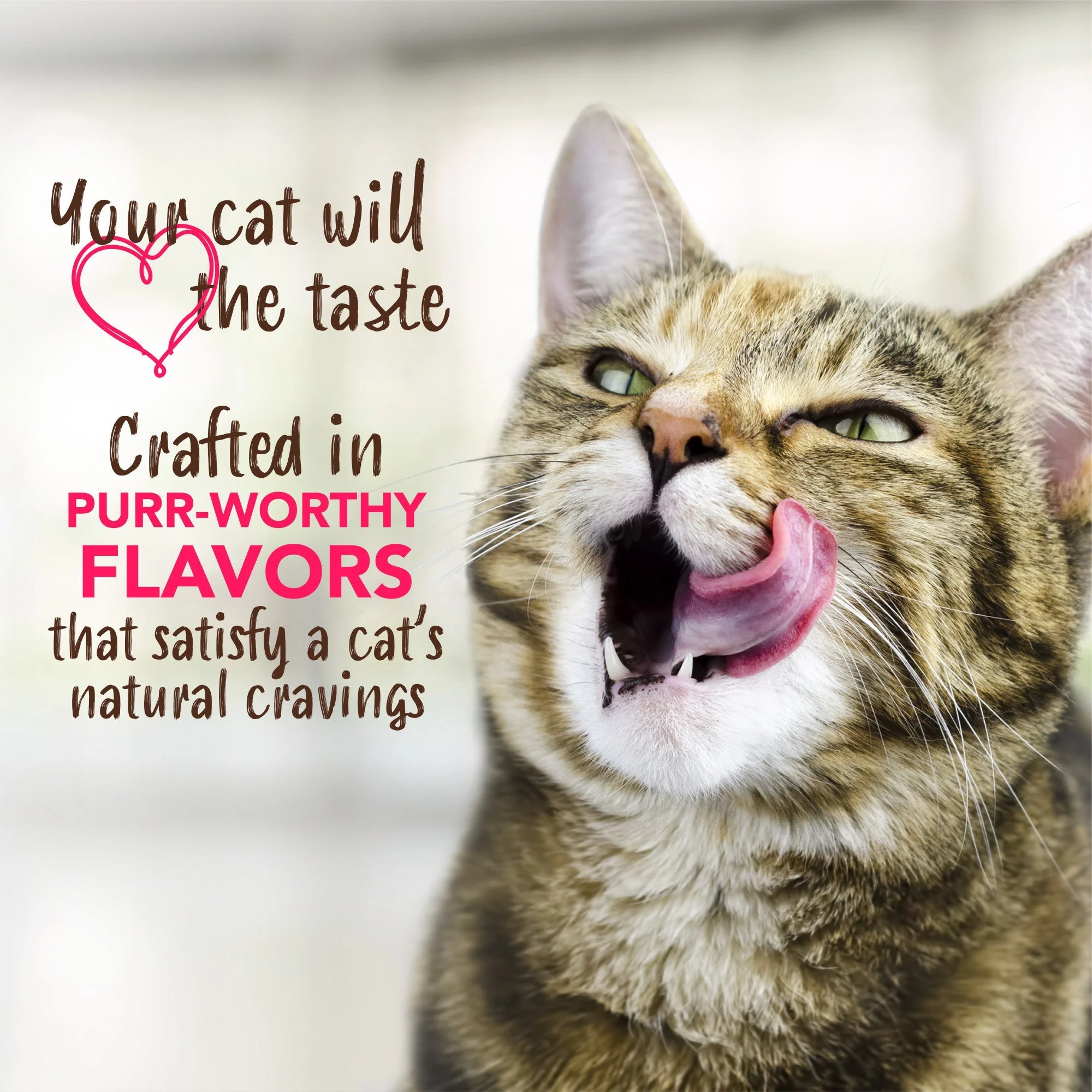 Tropiclean Enticers Fresh Breath Clean Teeth Gel Honey Marinated Chicken for Cats 59ml - Image 5