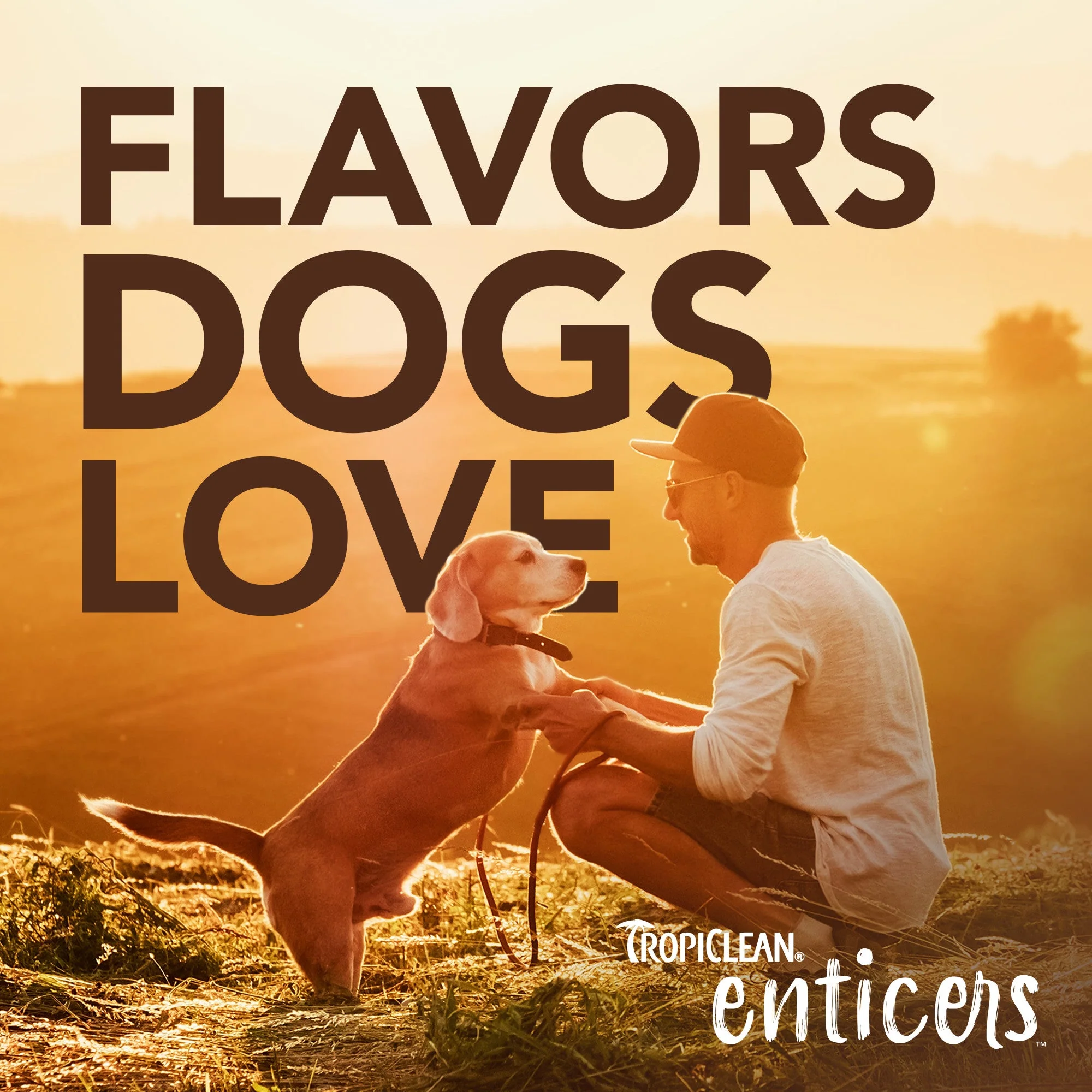 Tropiclean Enticers Fresh Breath Oral Care Kit Hickory Smoked Bacon for Medium and Small Dogs - Image 9