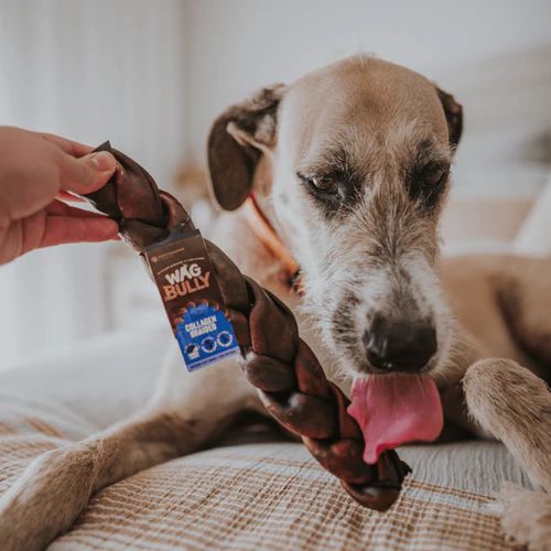 Wag Braided Collagen Stick Large Dog Chew Treat - Image 6