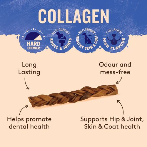 Wag Braided Collagen Stick Reguar Dog Chew Treat - Image 5