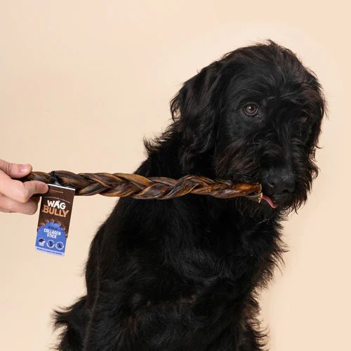 Wag Braided Collagen Stick Reguar Dog Chew Treat - Image 6