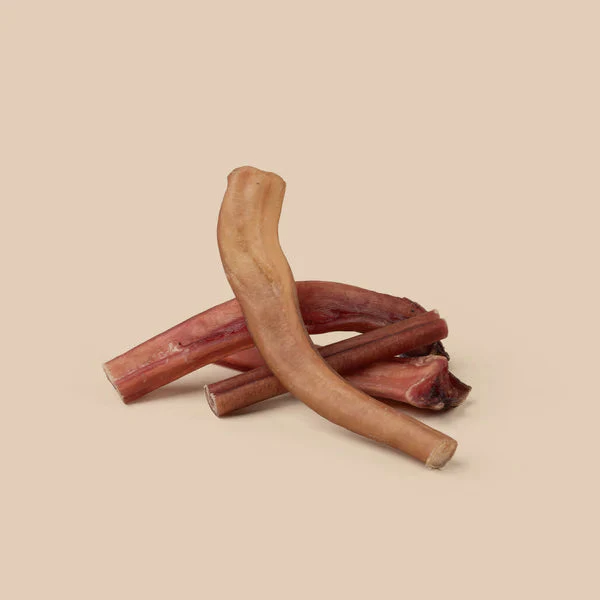 Wag Bully Stick Regular 4 Pack - Image 2