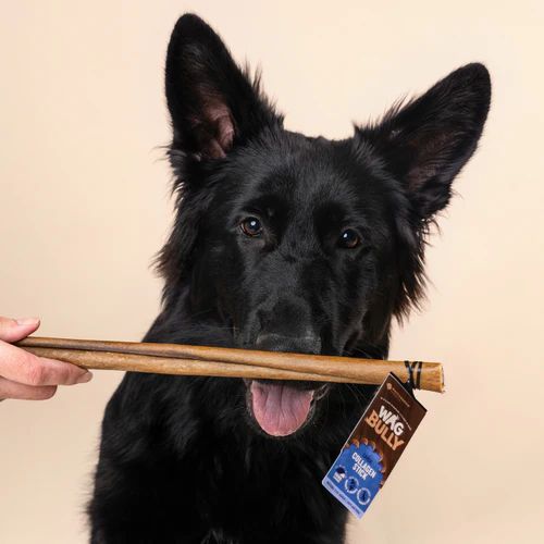 Wag Collagen Stick Large Dog Chew Treat - Image 4