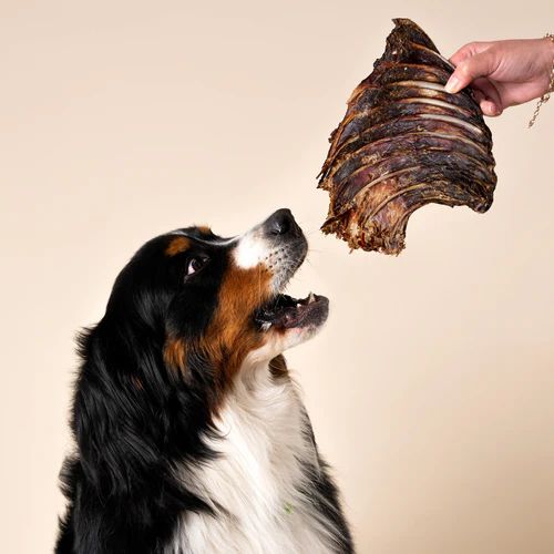 Wag Kangaroo Rib Rack Dog Chew Treat - Image 3