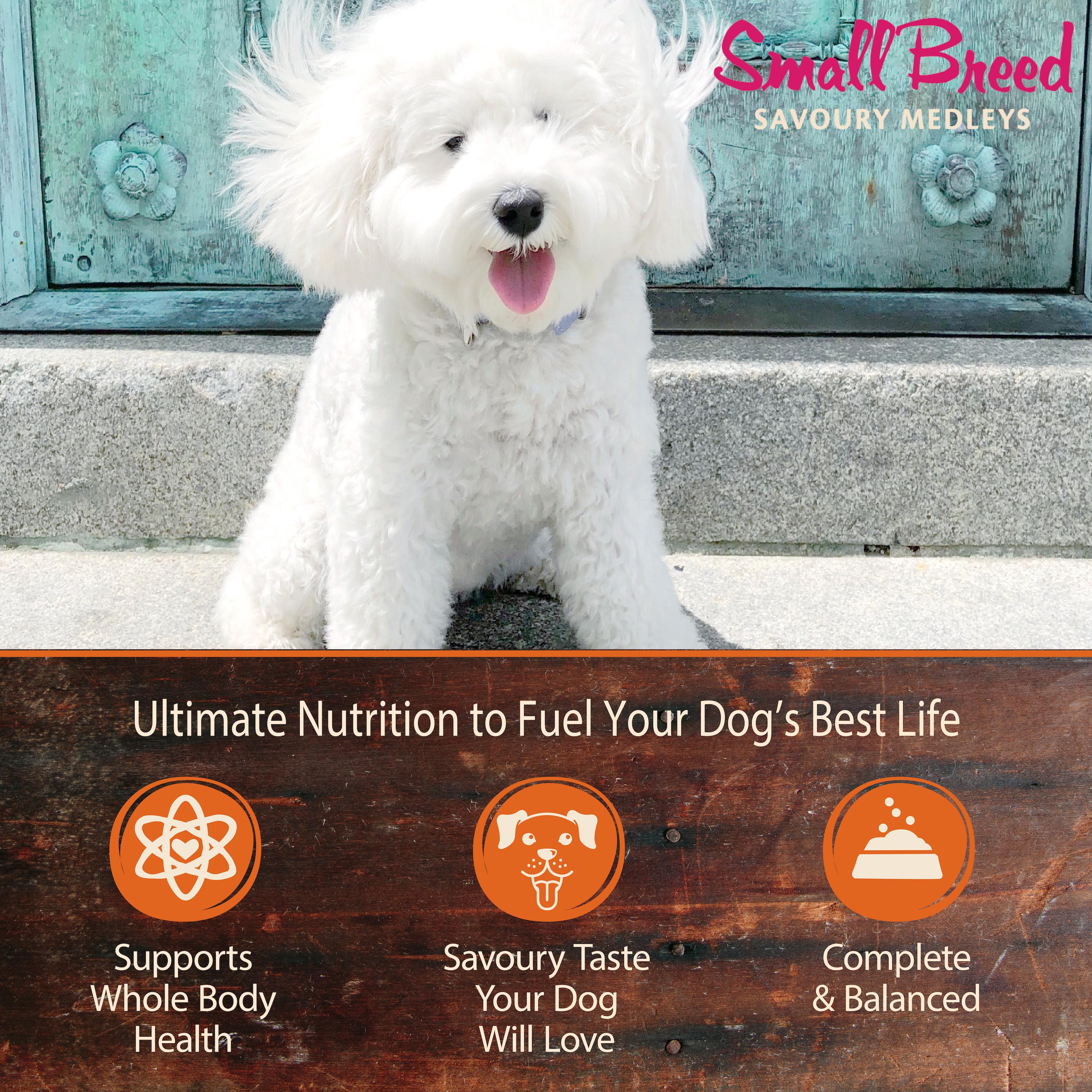 Wellness CORE Savoury Medleys Chicken, Beef, Green Beans and Red Peppers Wet Small Dog Food 85g x 12 - Image 7