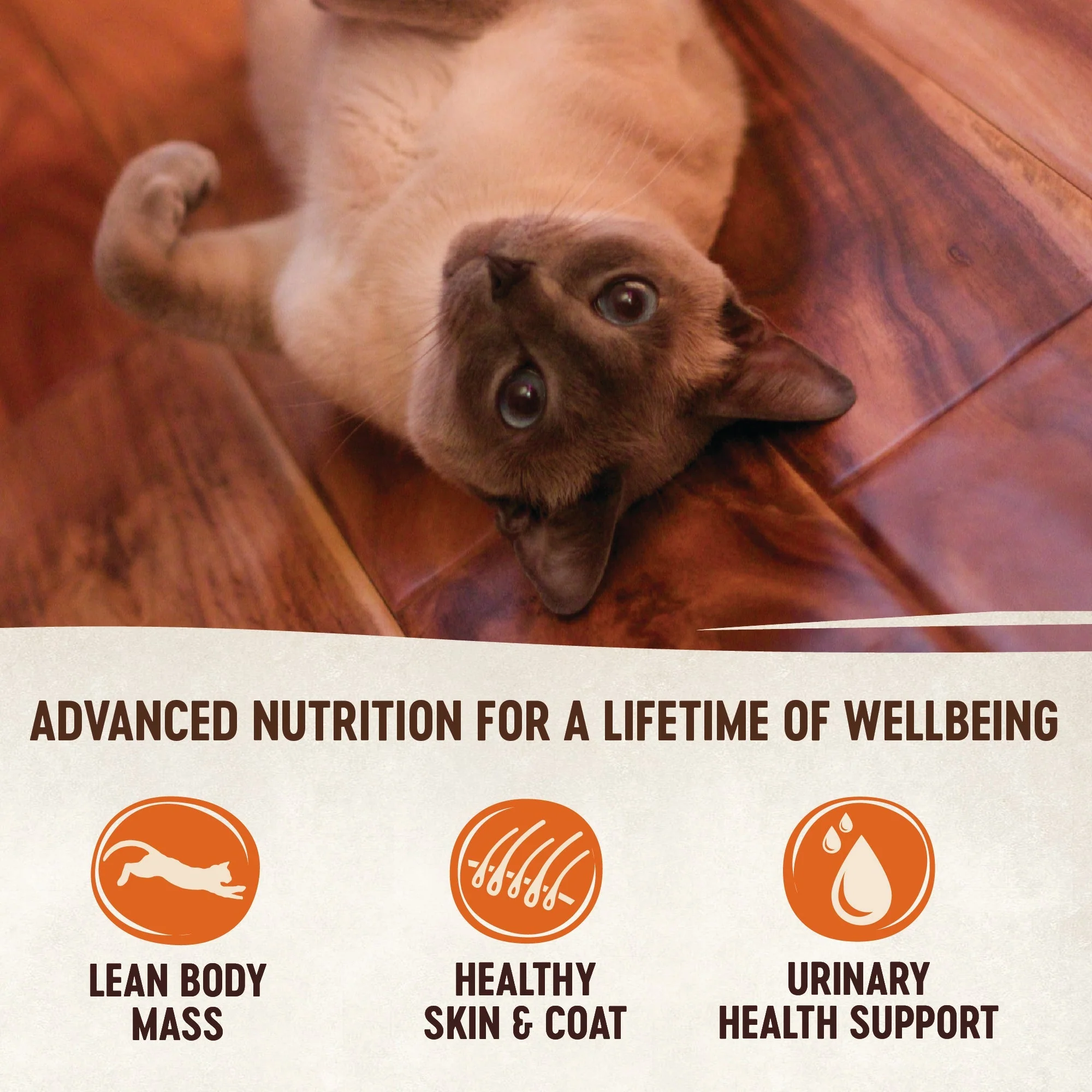 Wellness CORE Signature Selects Flaked Skipjack Tuna with Shrimp Entrée Wet Cat Food 79g - Image 6