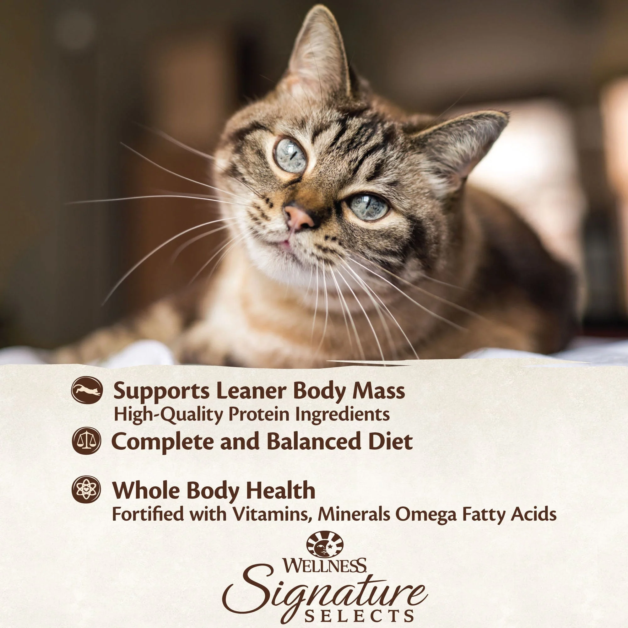 Wellness CORE Signature Selects Paté Chicken and Beef Entrée Wet Cat Food 79g - Image 10