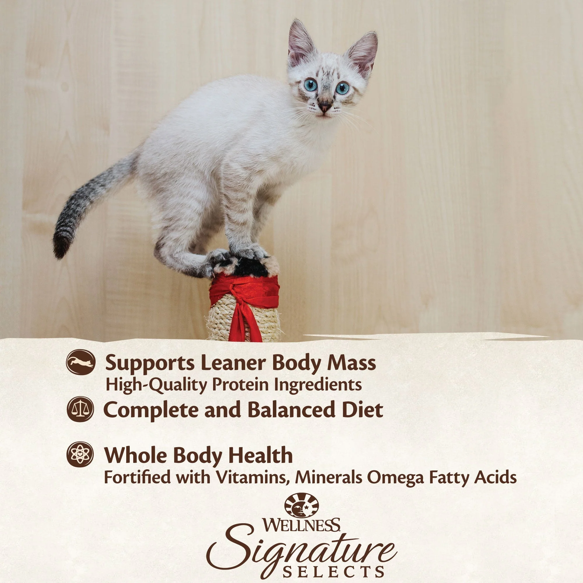 Wellness CORE Signature Selects Paté Chicken and Turkey Entrée Wet Kitten Food 79g - Image 9