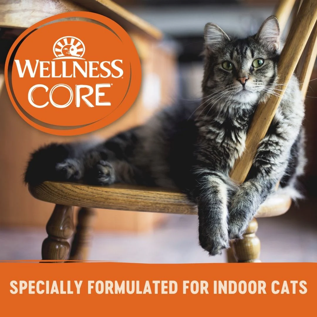 Wellness CORE Signature Selects Paté Chicken Entrée Indoor Wet Cat Food 79g - Image 4