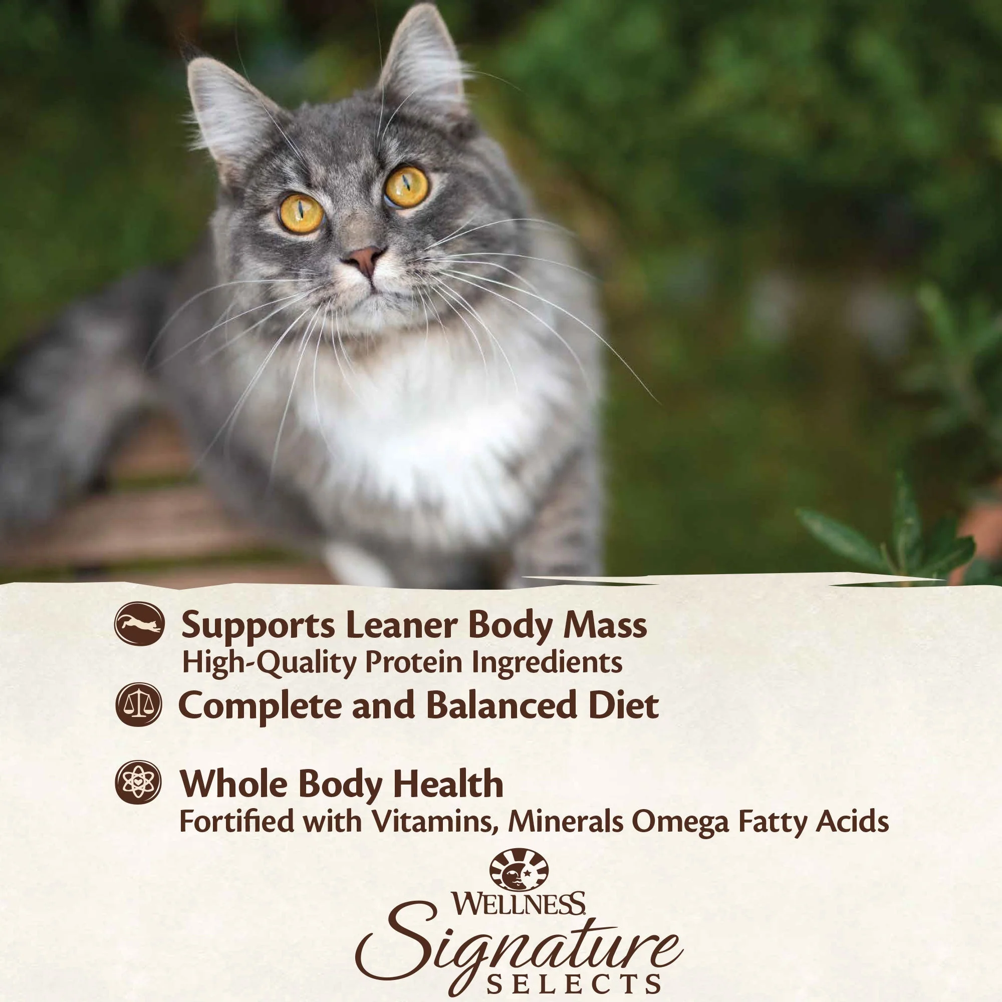 Wellness CORE Signature Selects Shredded Chicken and Turkey Entrée Wet Cat Food 79g x 12 - Image 5