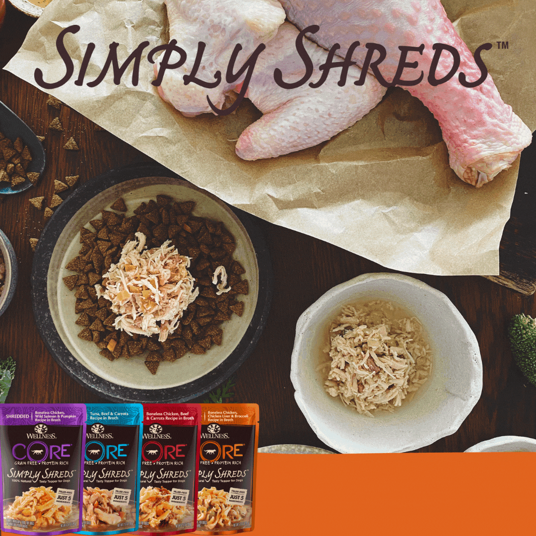Wellness CORE Simply Shreds Shredded Chicken, Salmon and Pumpkin Wet Dog Food 79g x 12 - Image 6