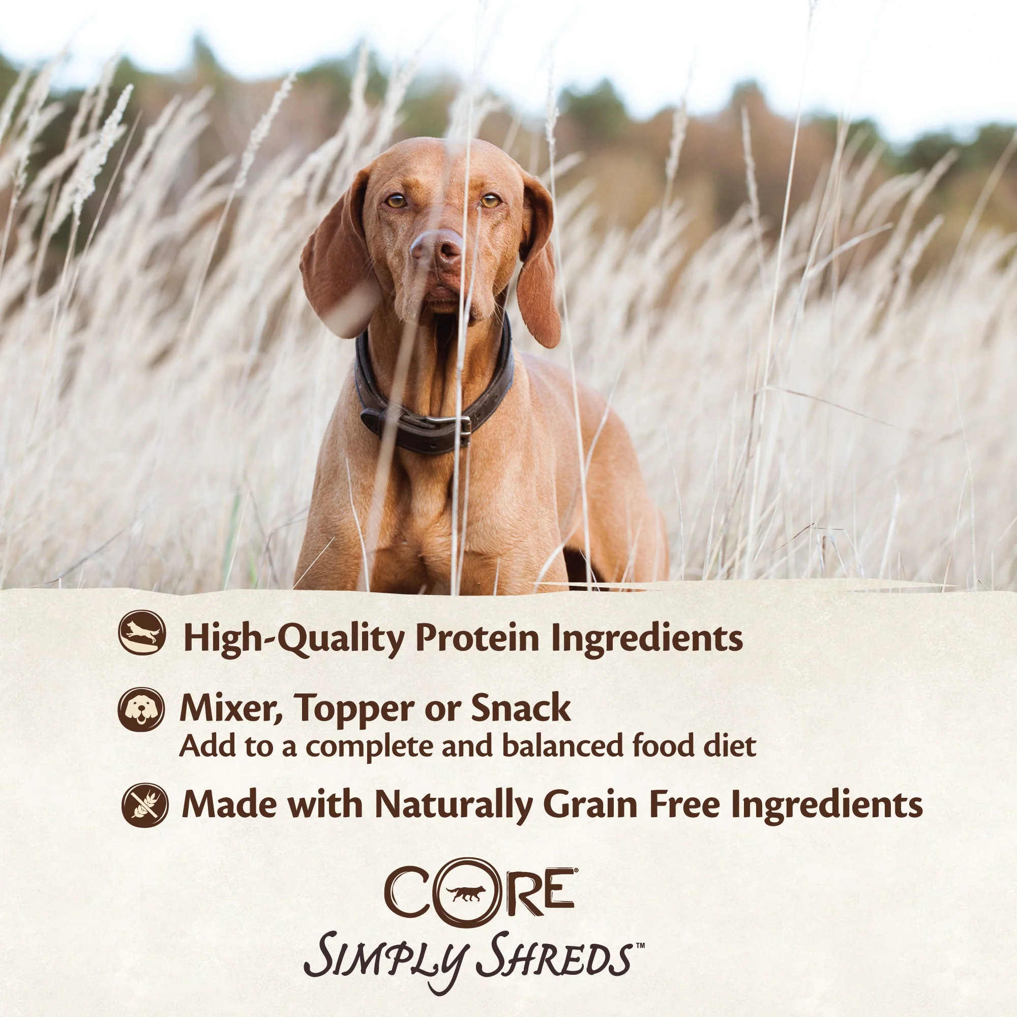 Wellness CORE Simply Shreds Shredded Chicken, Salmon and Pumpkin Wet Dog Food 79g x 12 - Image 9
