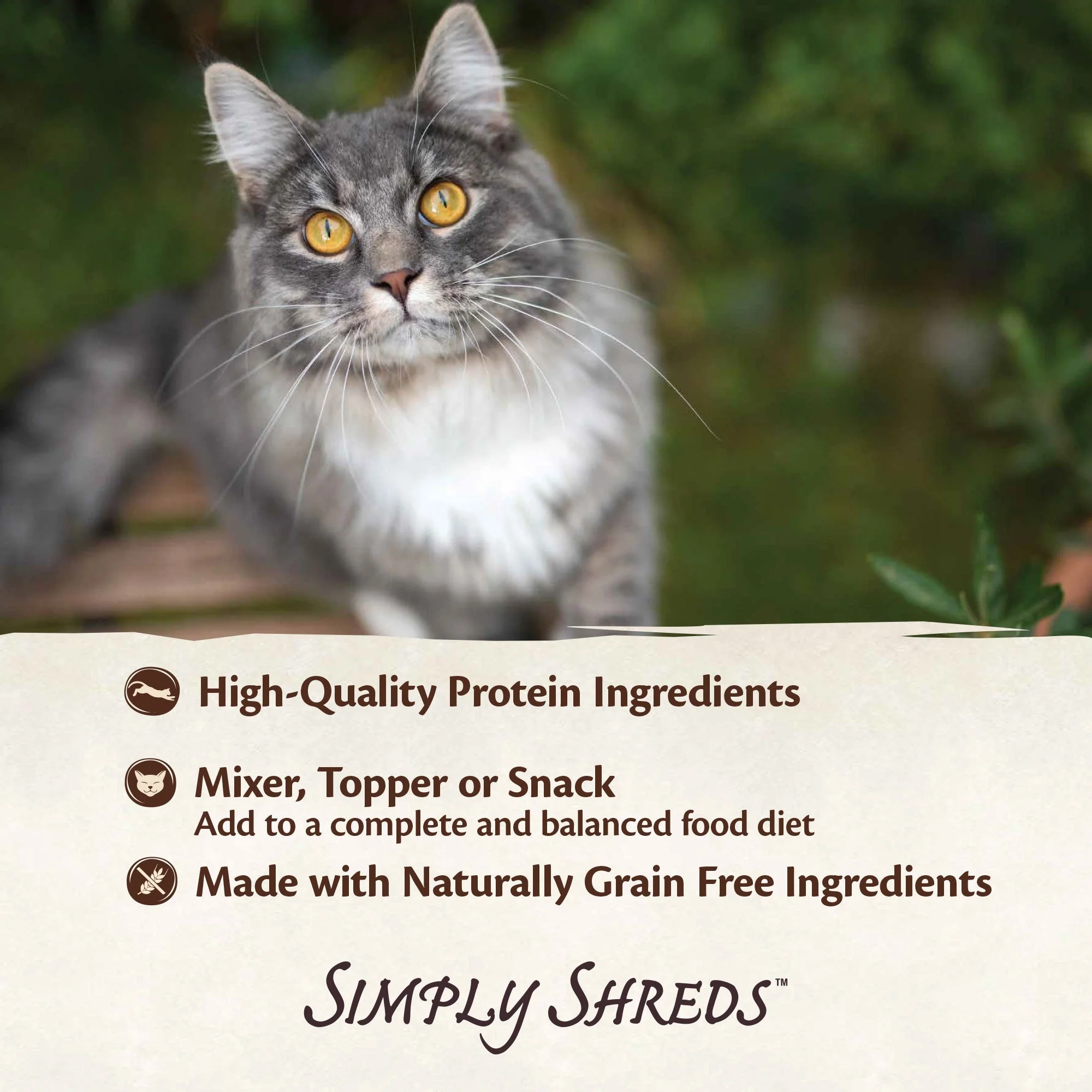 Wellness CORE Simply Shreds Shredded Chicken Wet Cat Food 50g - Image 8