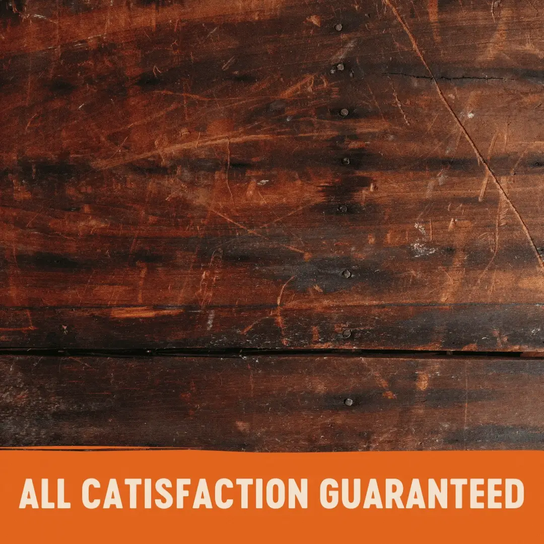 Wellness CORE Tender Cuts Tuna Selection Multipack Wet Cat Food 85g x 6 - Image 7
