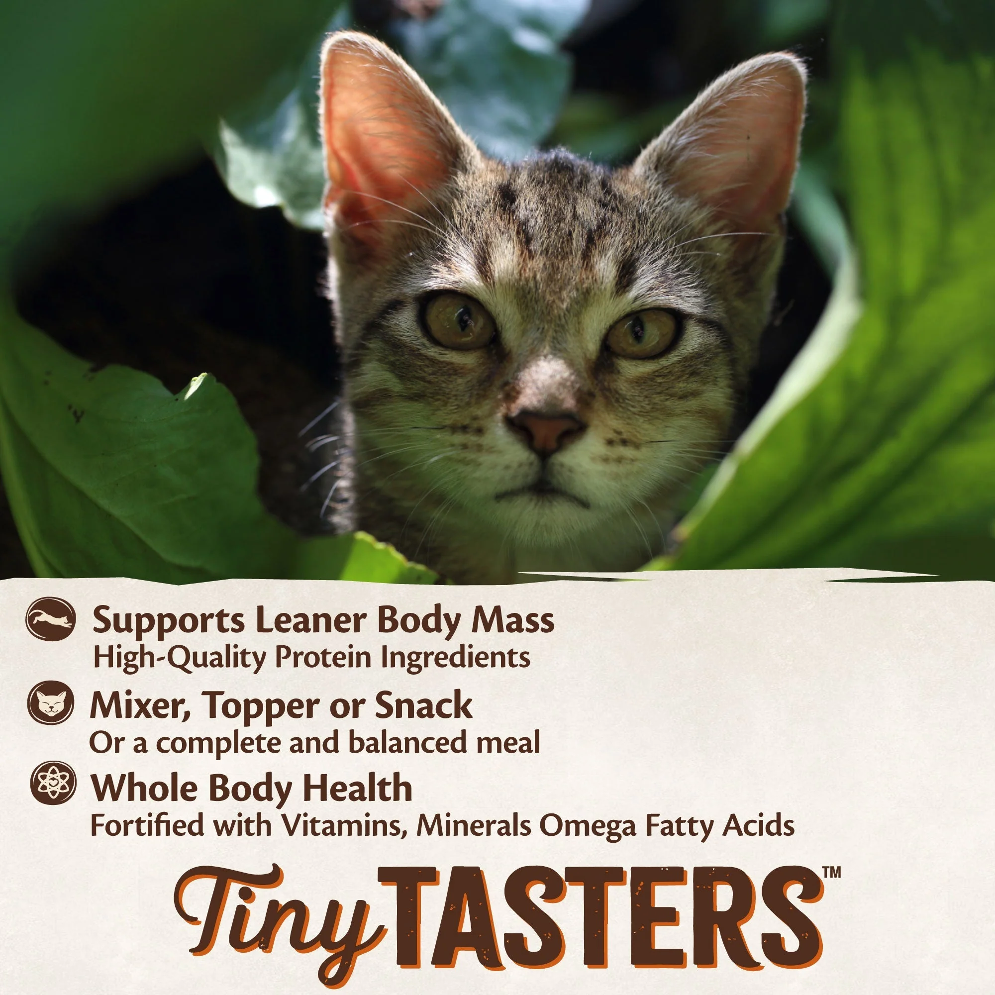 Wellness CORE Tiny Tasters Duck Paté Wet Cat Food 50g x 12 - Image 8