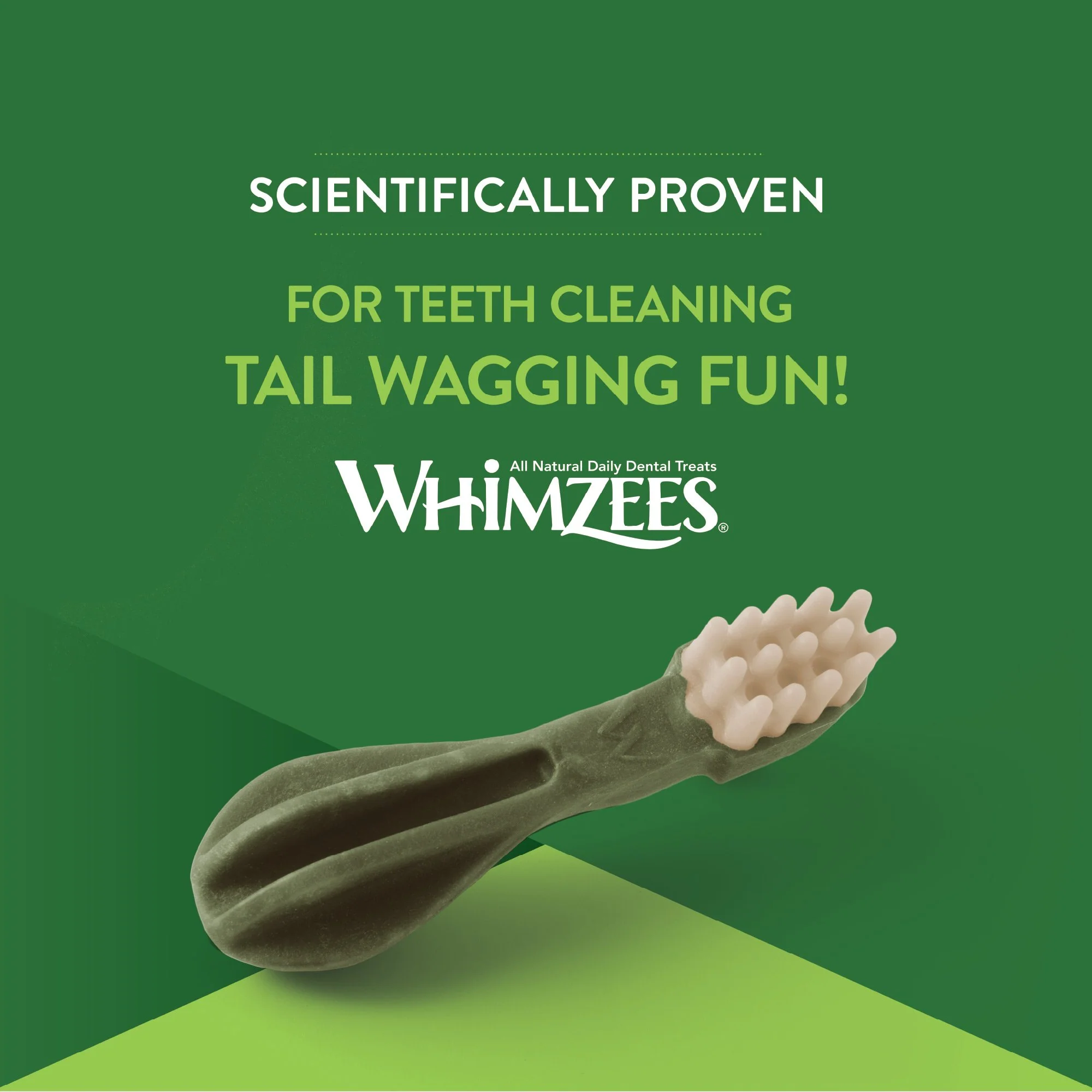 Whimzees Toothbrush Dental Dog Treats Extra Small 48 Pack - Image 8