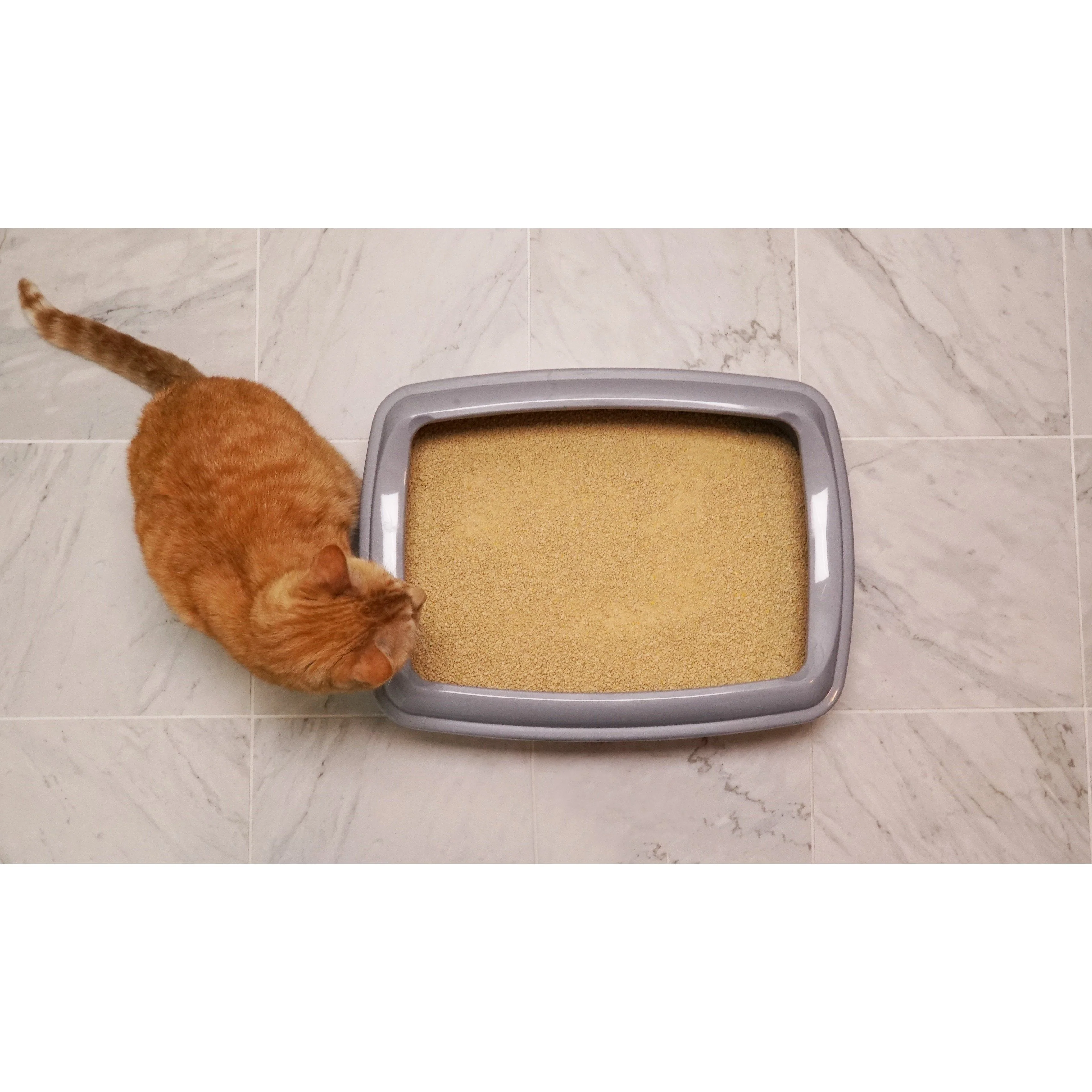 Worlds Best Original Unscented Clumping Cat Litter 12.7kg - Image 5