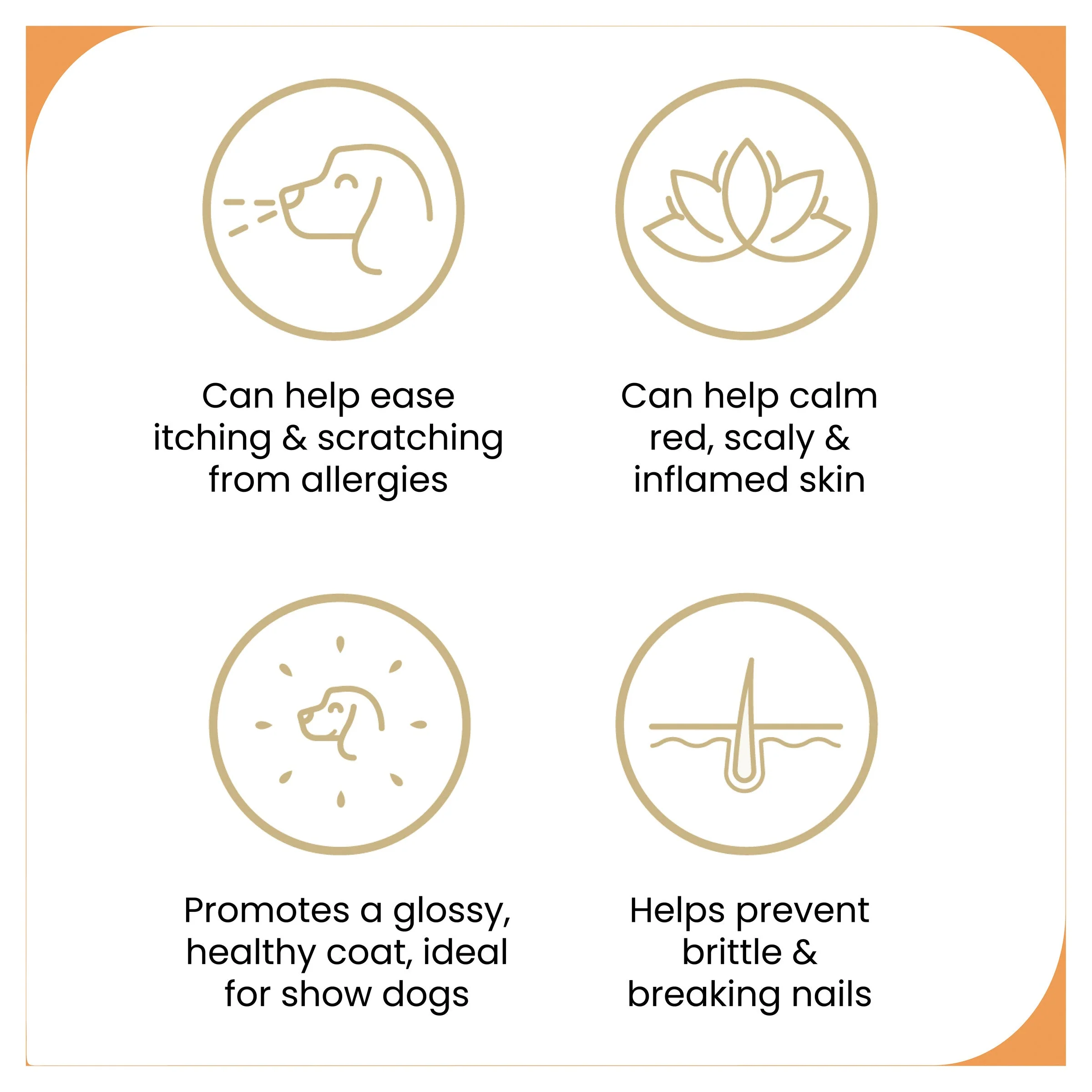 ZamiPet Allergy and Itch Chews for Dogs 300g 60 Pack - Image 8