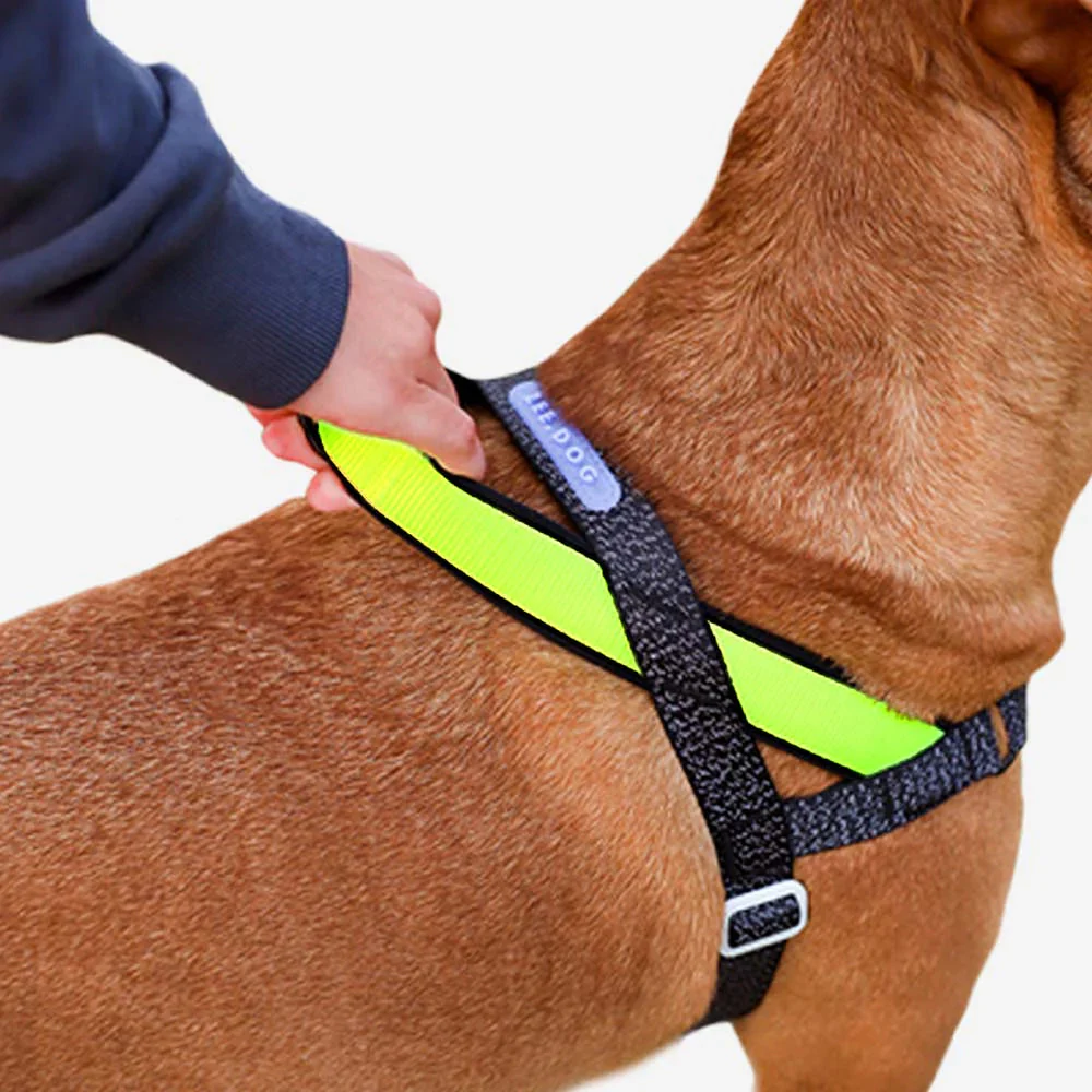 Zee.Dog Softer Walk Nox Reflective Dog Harness Large - Image 3