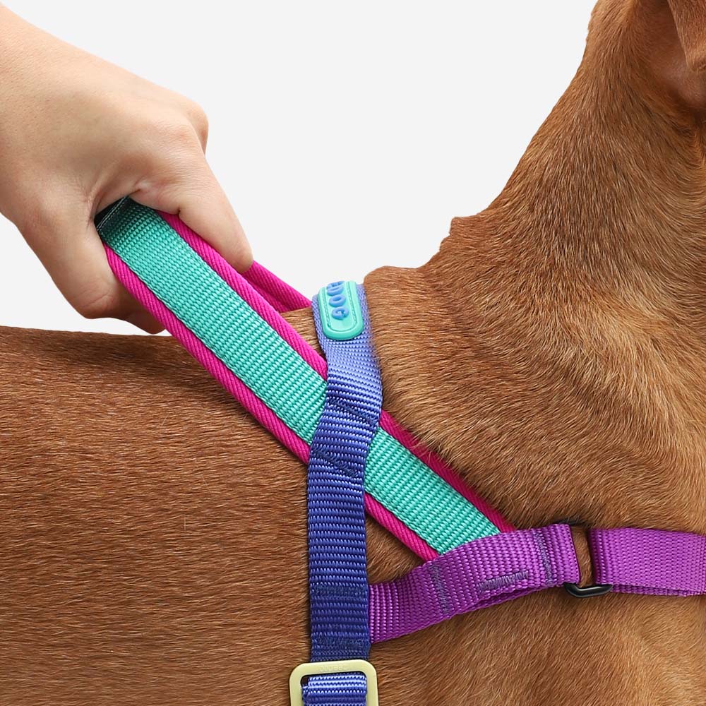 Zee.Dog Softer Walk Shockwave Dog Harness Large - Image 4