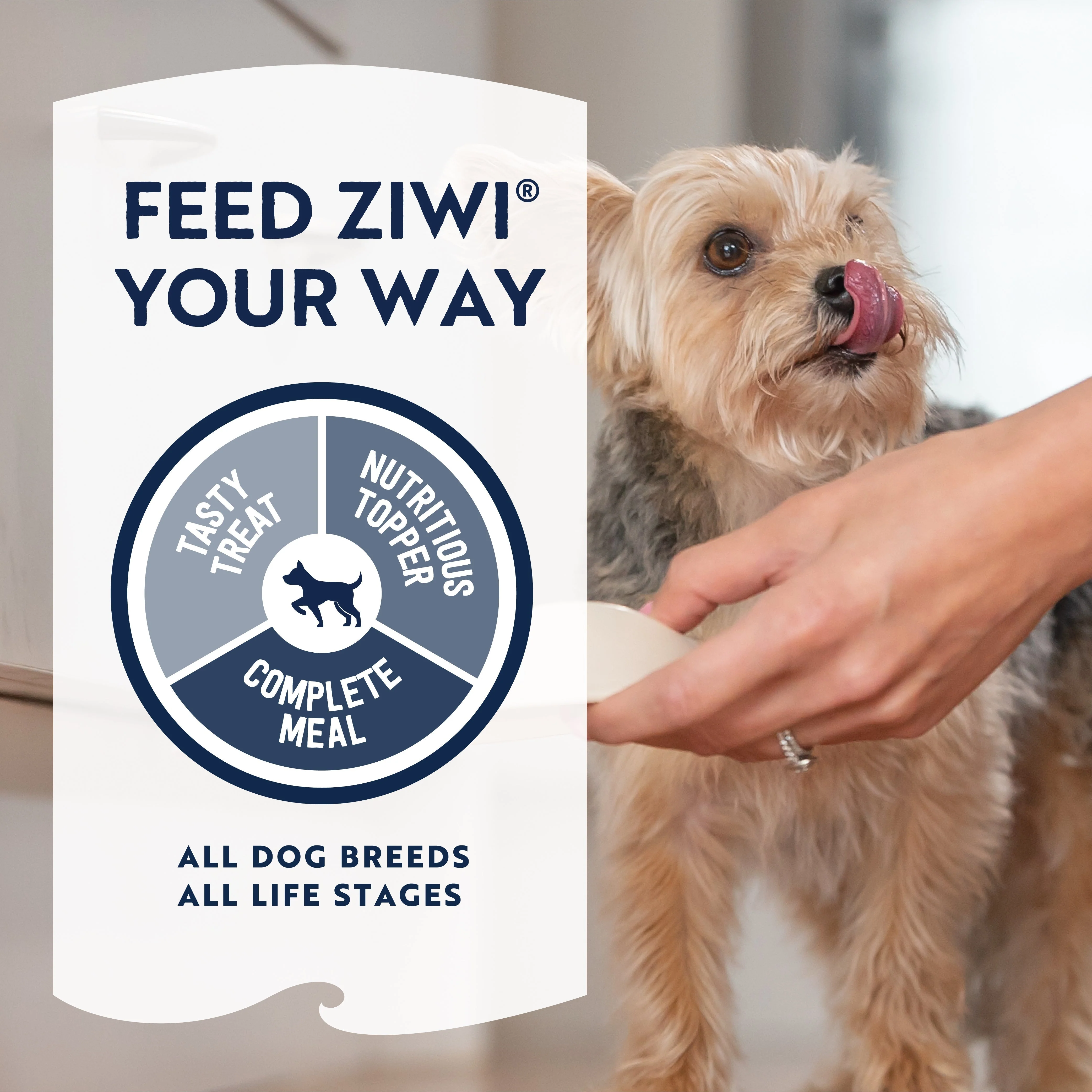 ZIWI Peak Air Dried Lamb Recipe Dog Food 2.5kg - Image 7