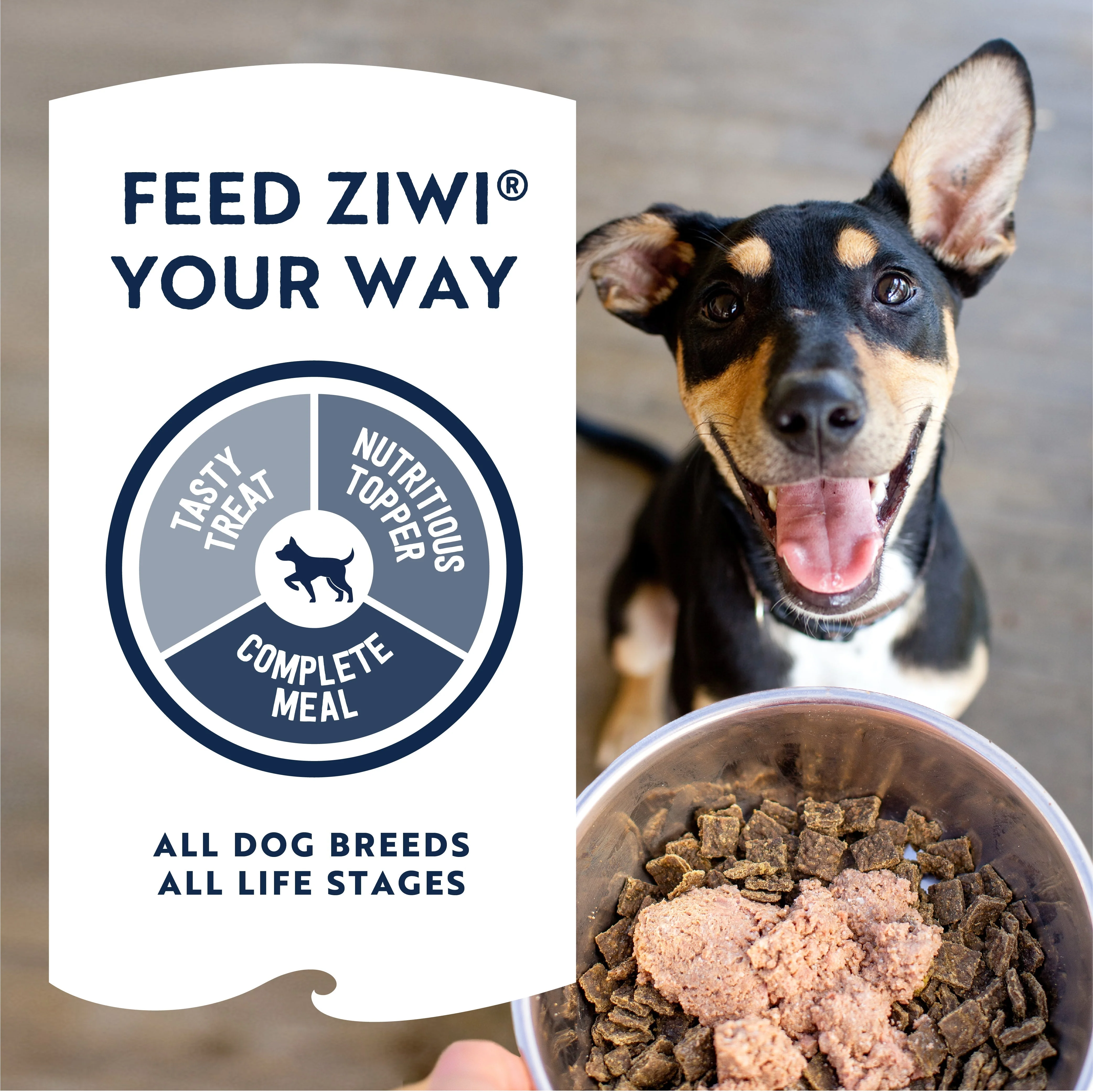 ZIWI Peak Wet Beef Recipe Dog Food 390g - Image 6